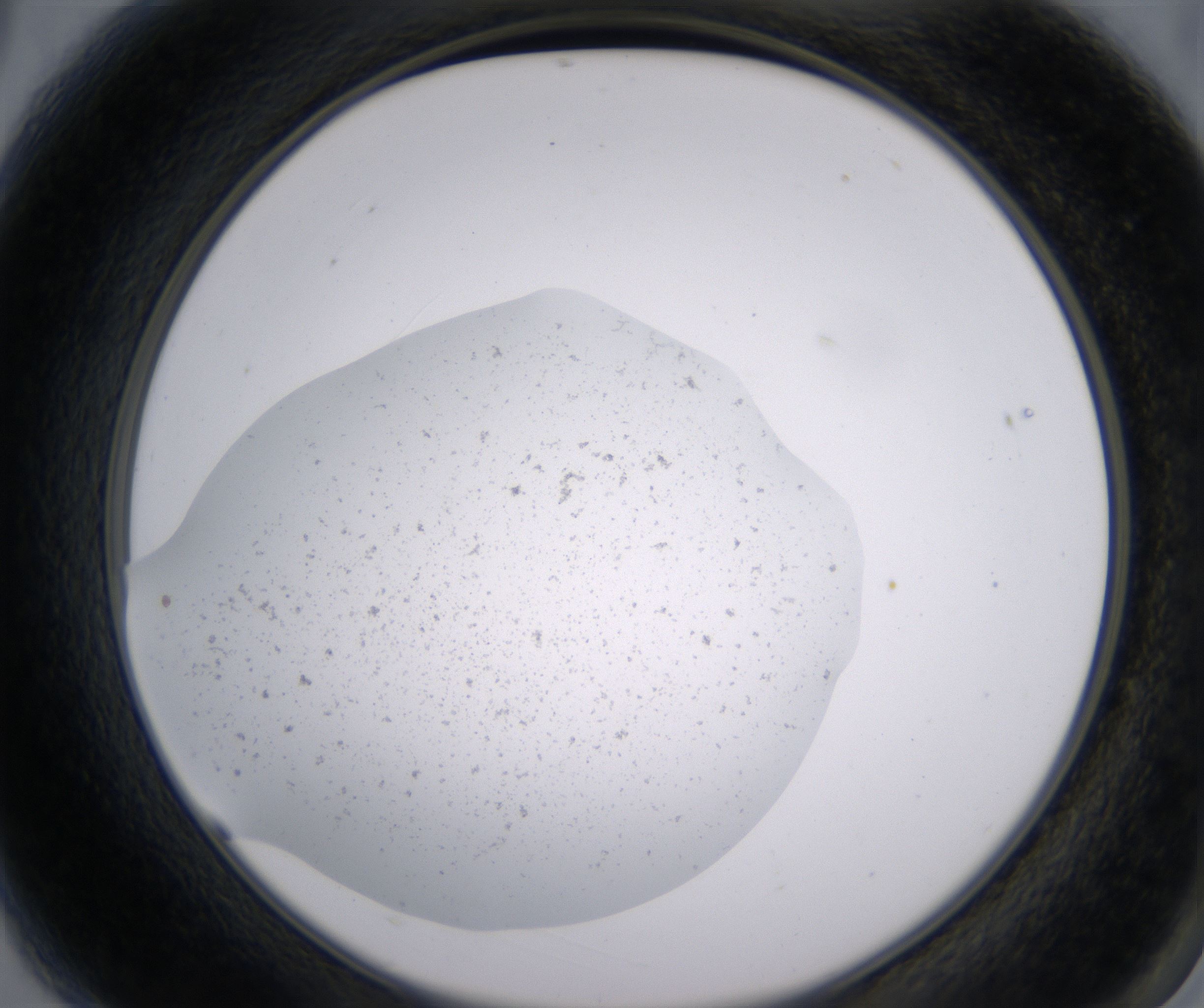 A3_HighResolution_Precipitate_2.jpg