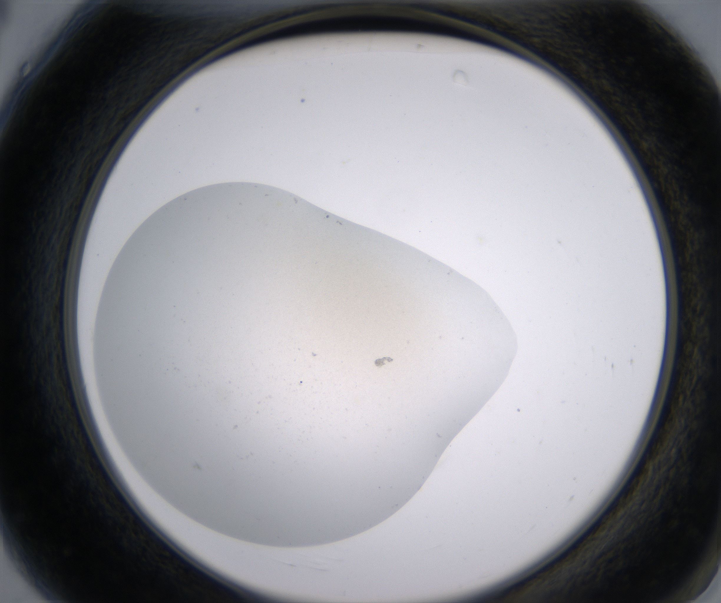 A4_HighResolution_Precipitate_2.jpg