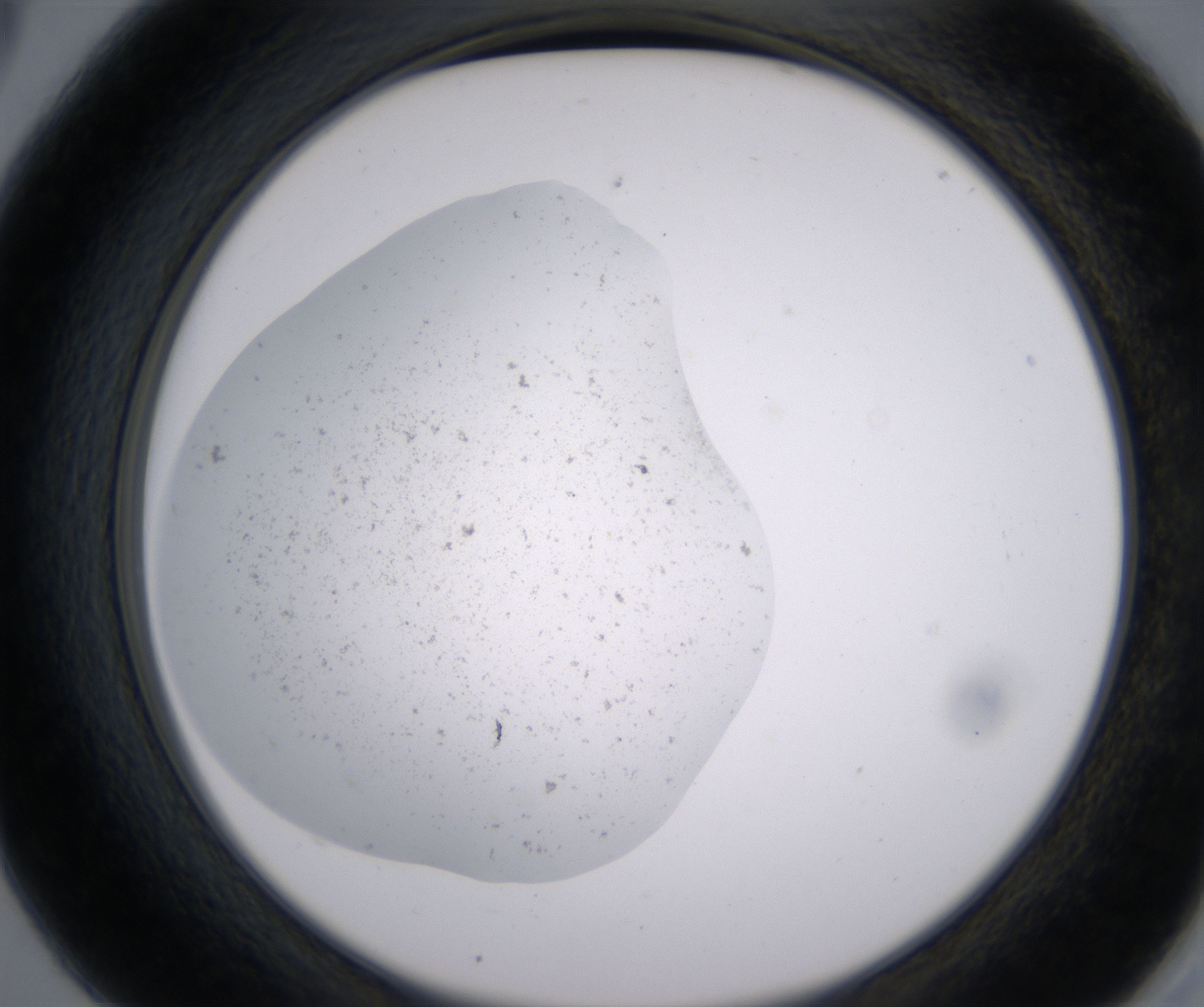 A5_HighResolution_Precipitate_2.jpg