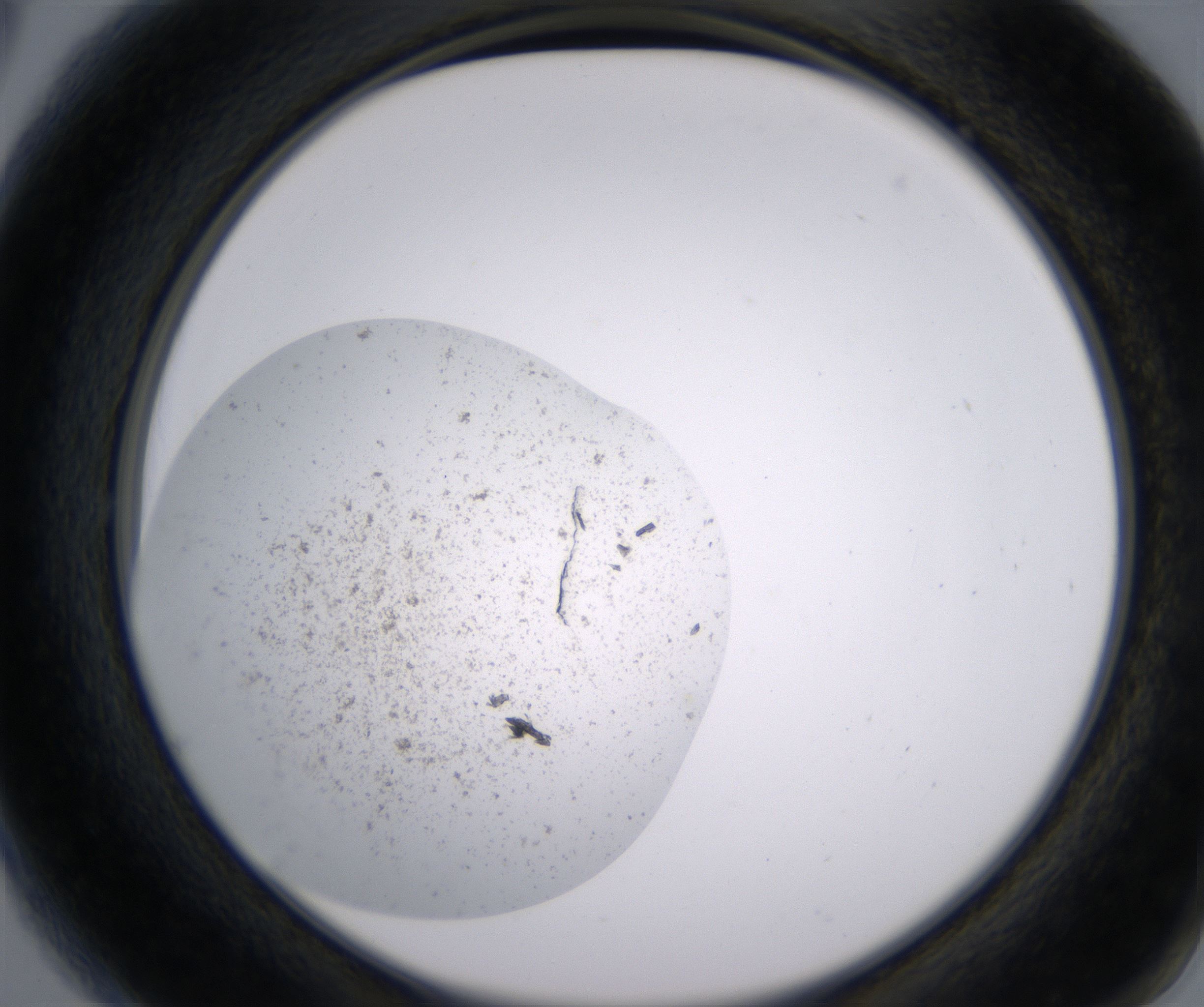 A6_HighResolution_Precipitate_2.jpg