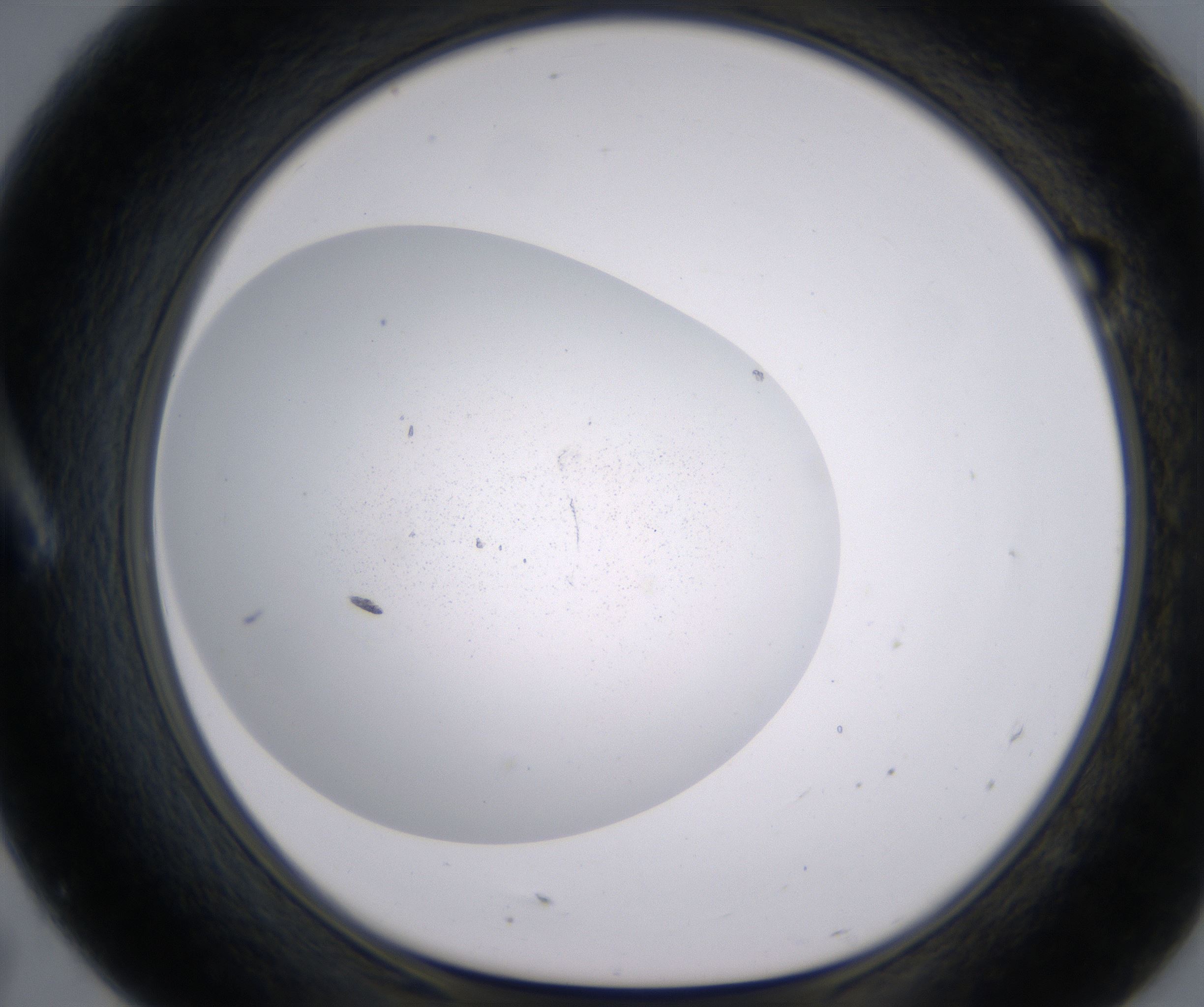 A7_HighResolution_Precipitate_1.jpg