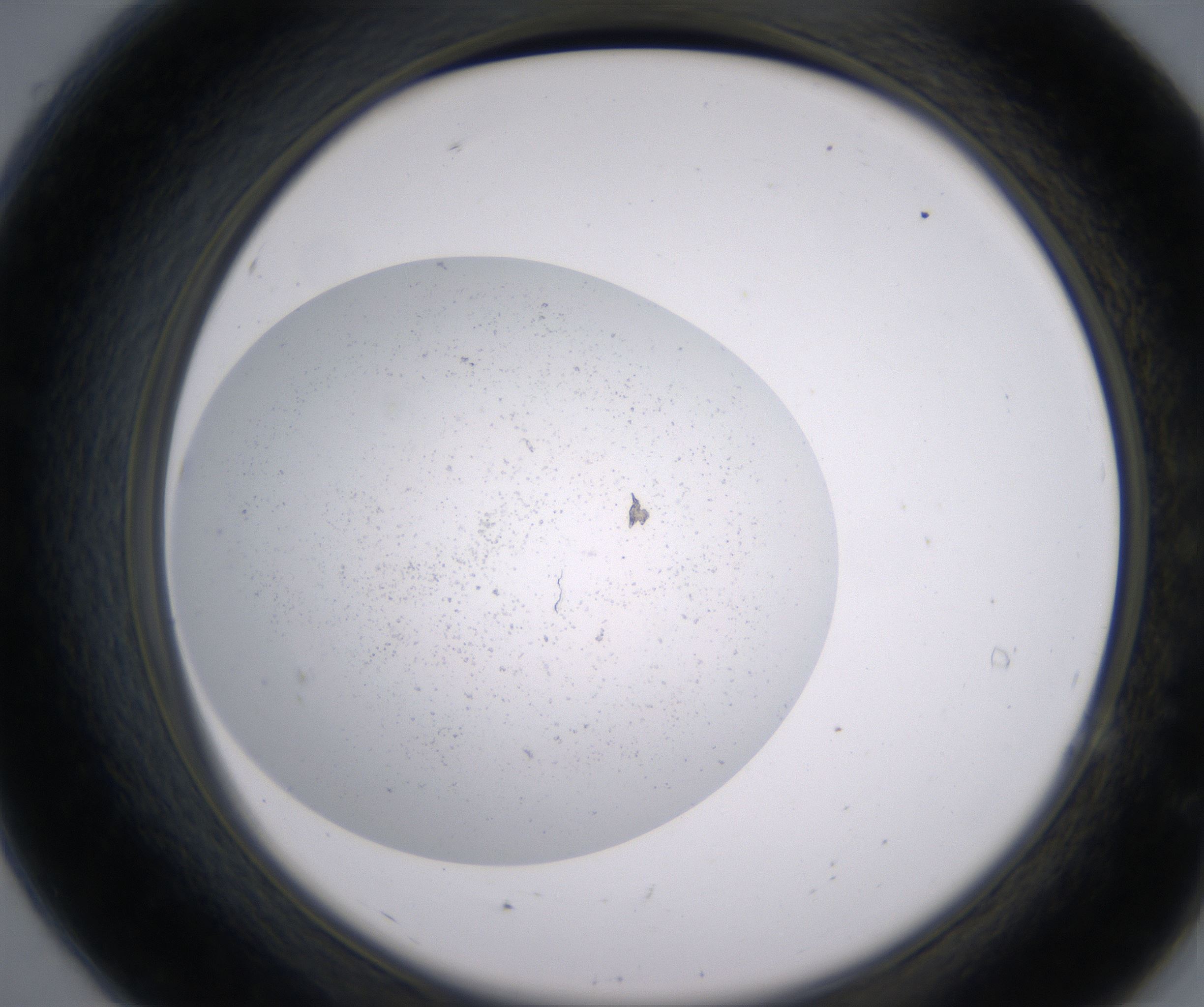 A7_HighResolution_Precipitate_2.jpg