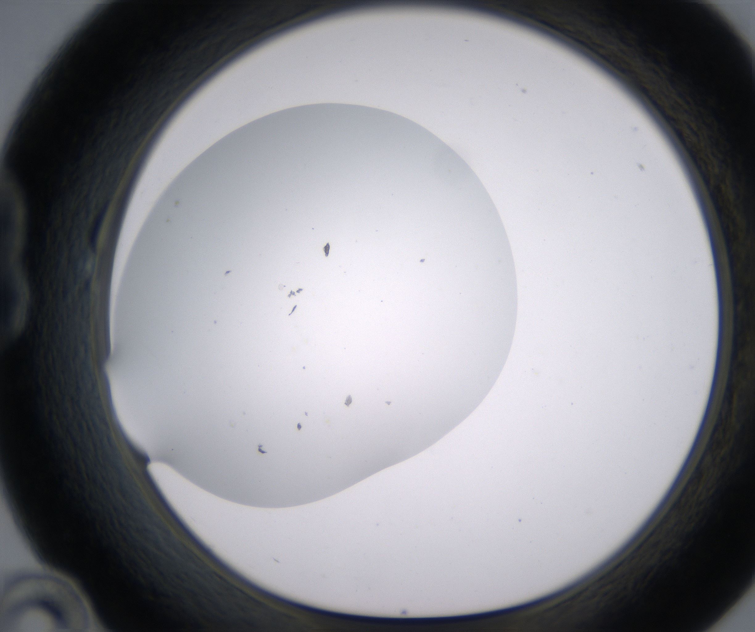 B10_HighResolution_Clear_1.jpg