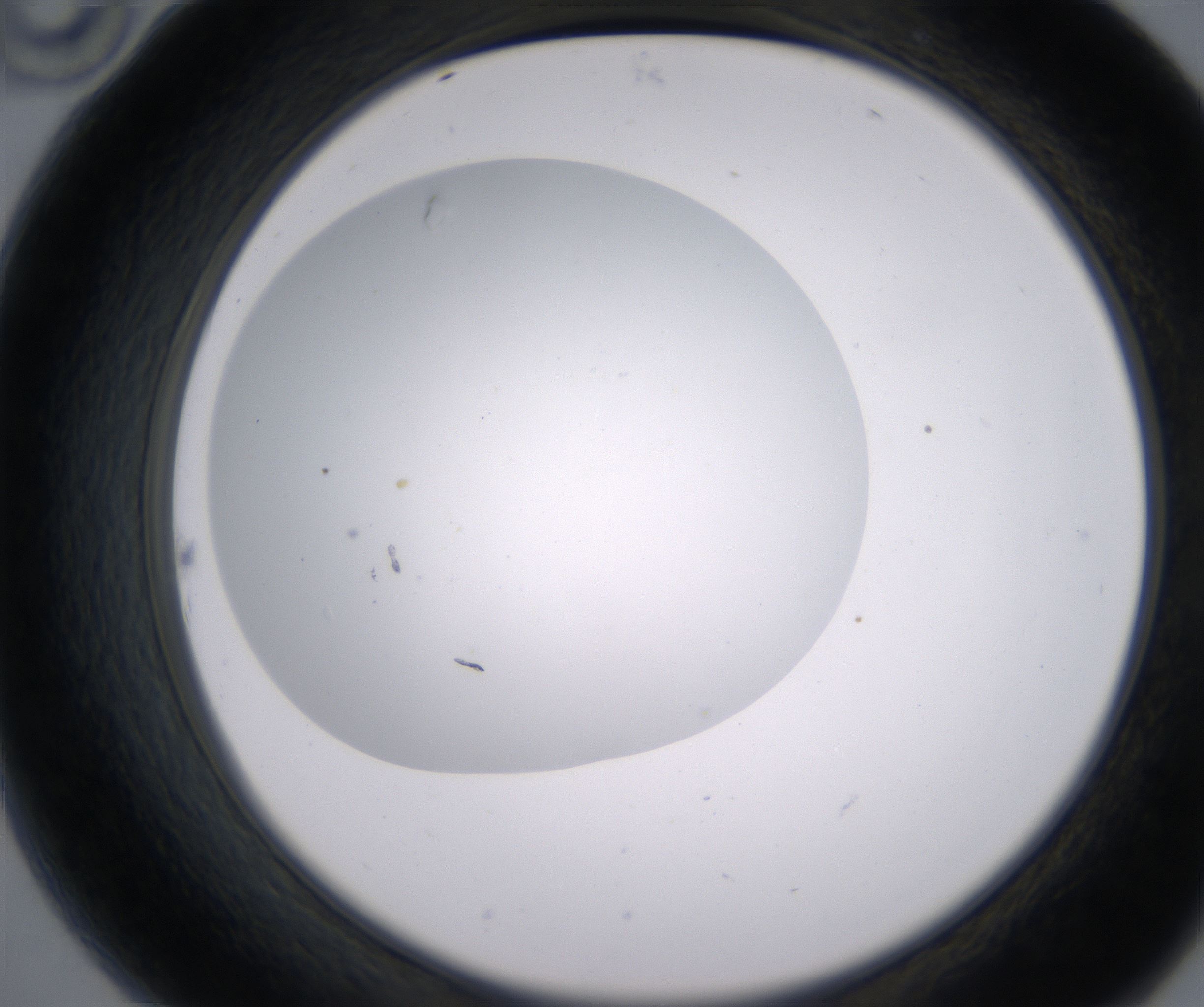 B10_HighResolution_Clear_2.jpg