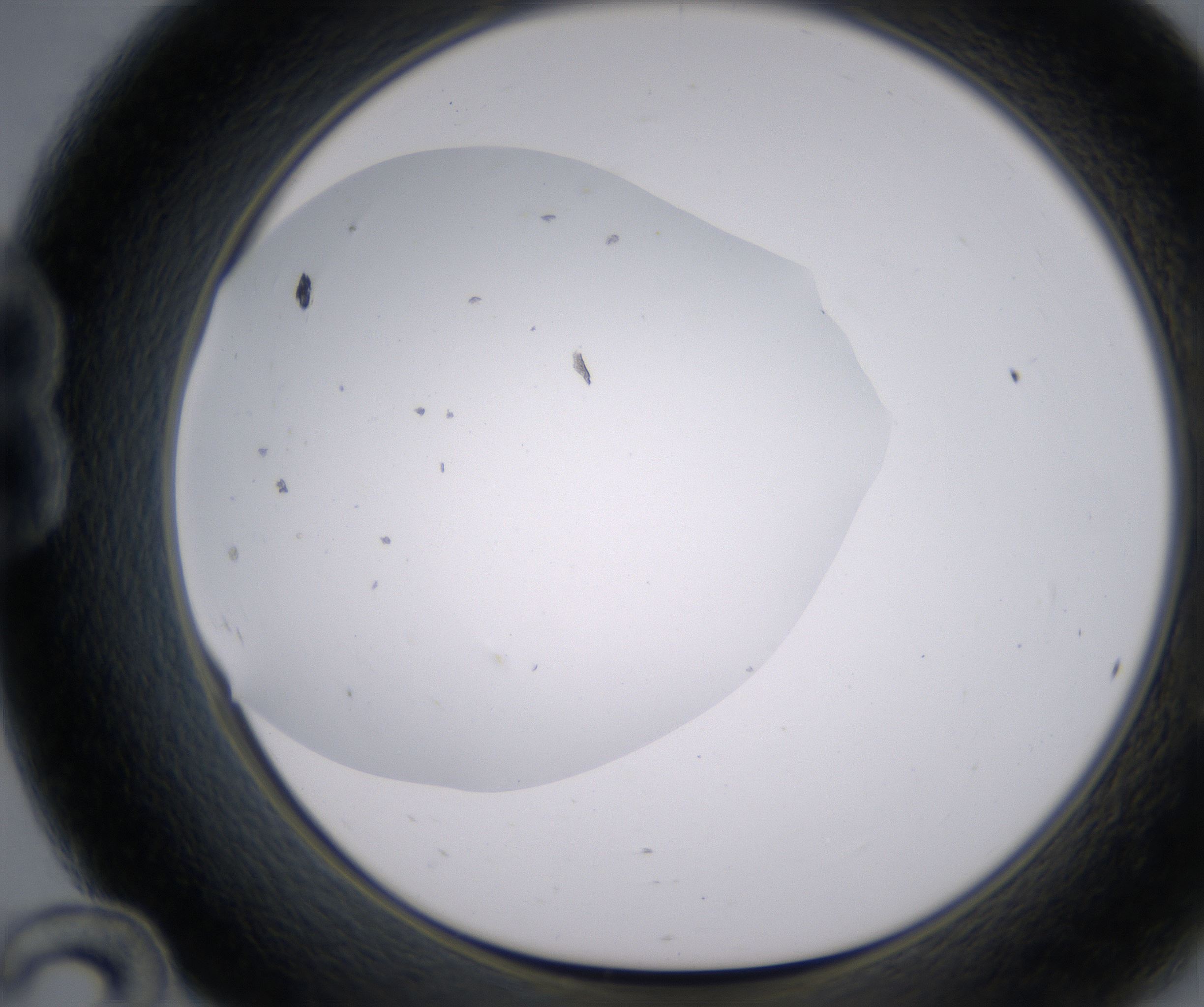B12_HighResolution_Clear_1.jpg