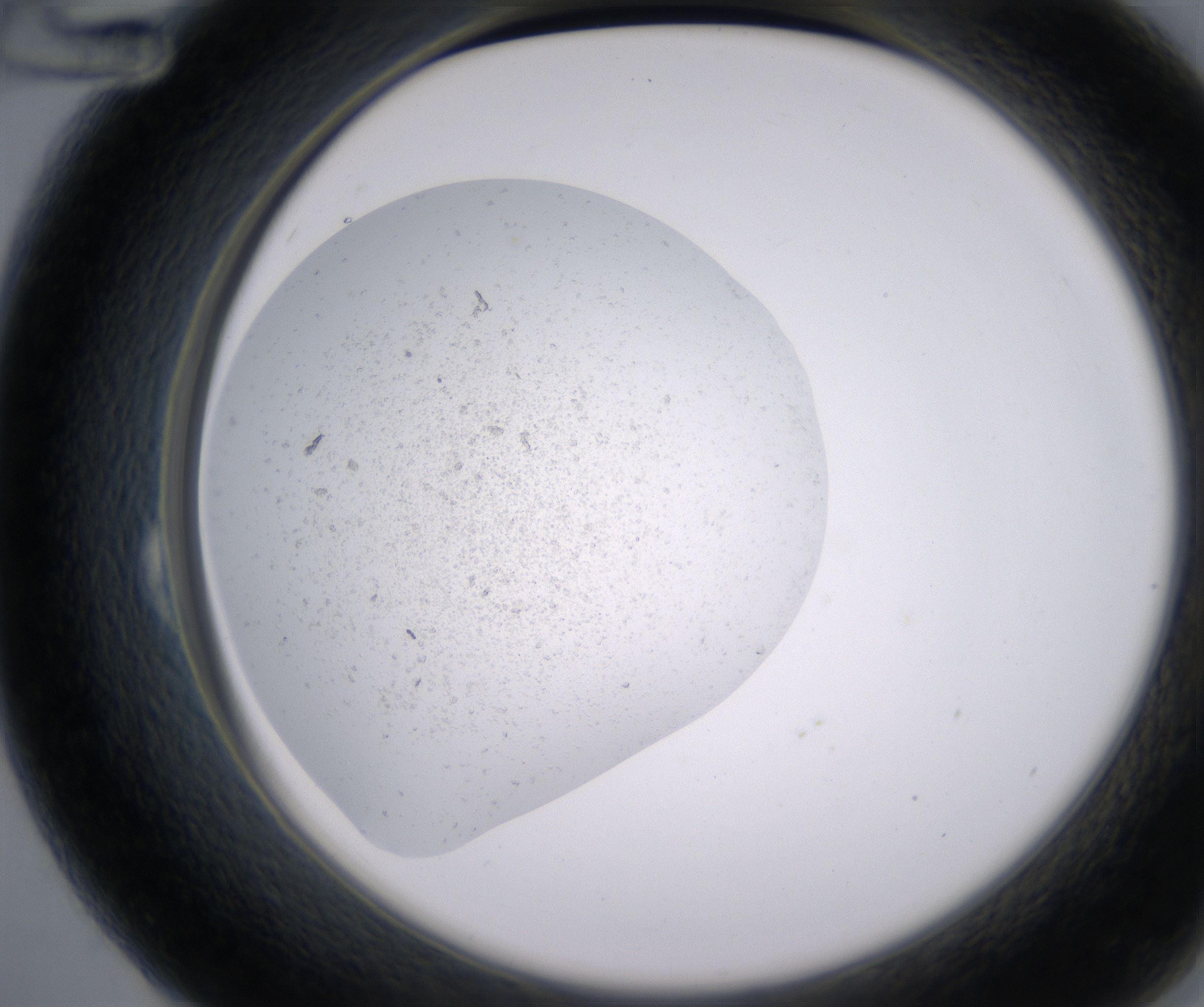 B12_HighResolution_Precipitate_2.jpg