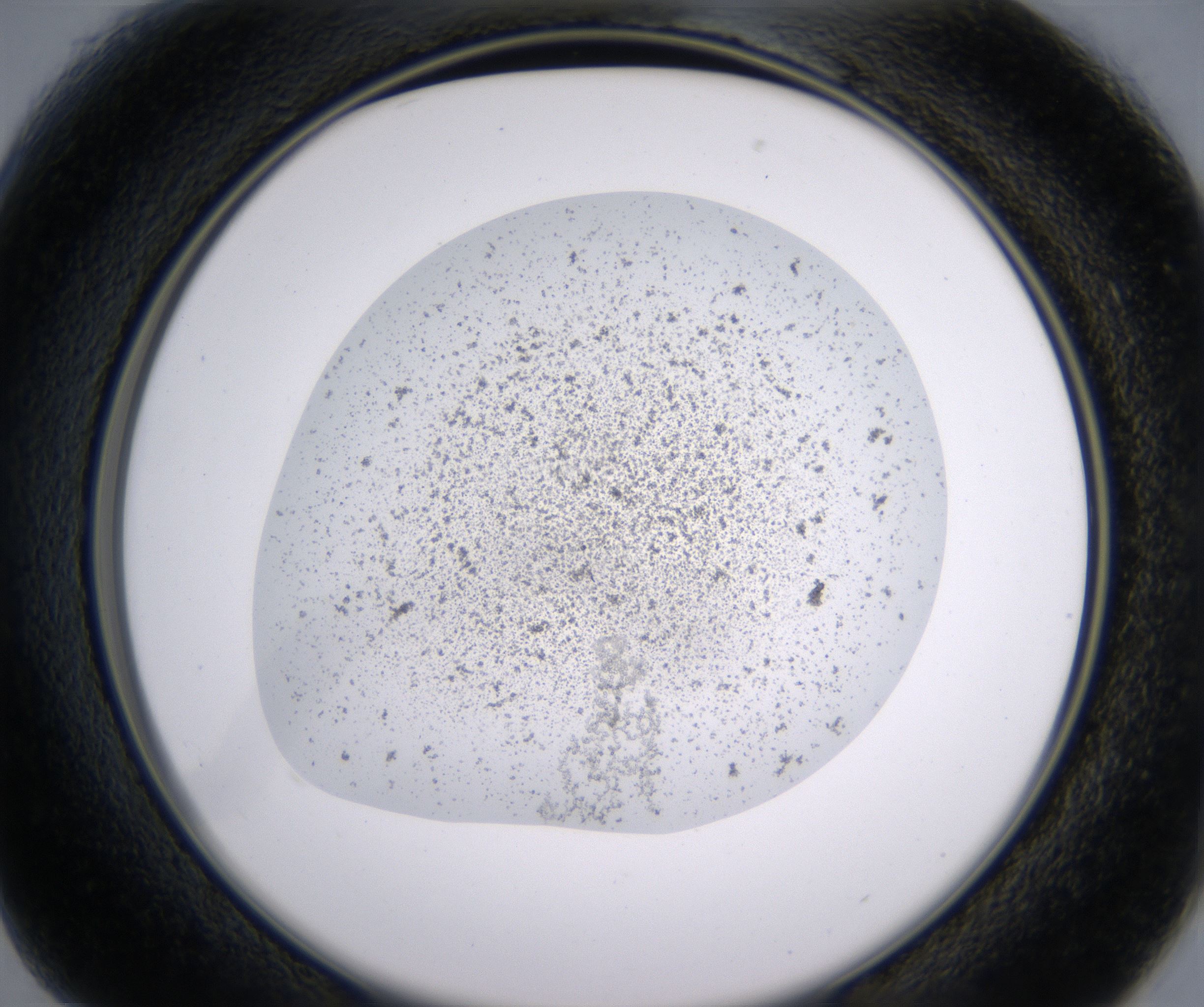 B1_HighResolution_Precipitate_2.jpg