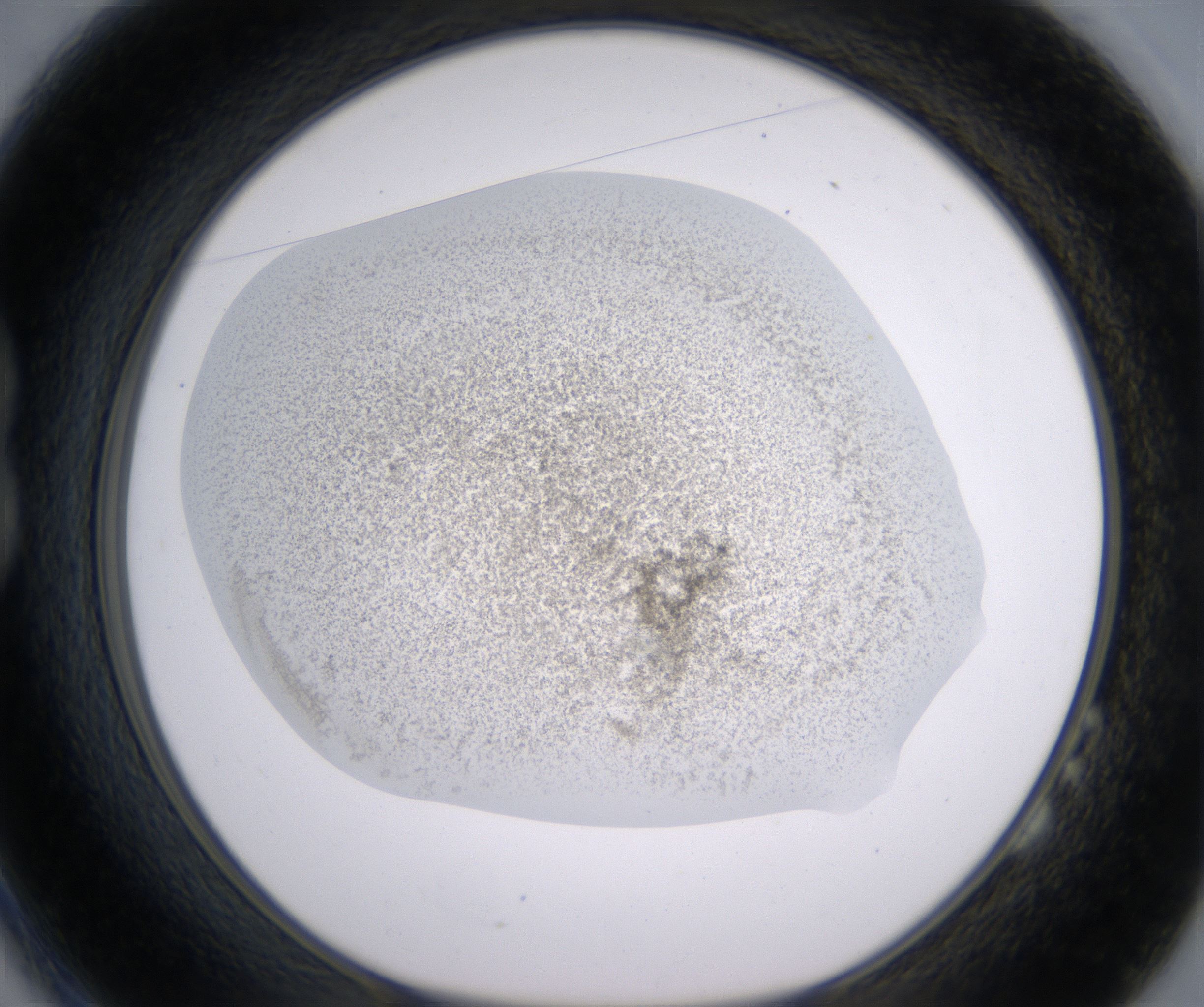 B2_HighResolution_Precipitate_1.jpg