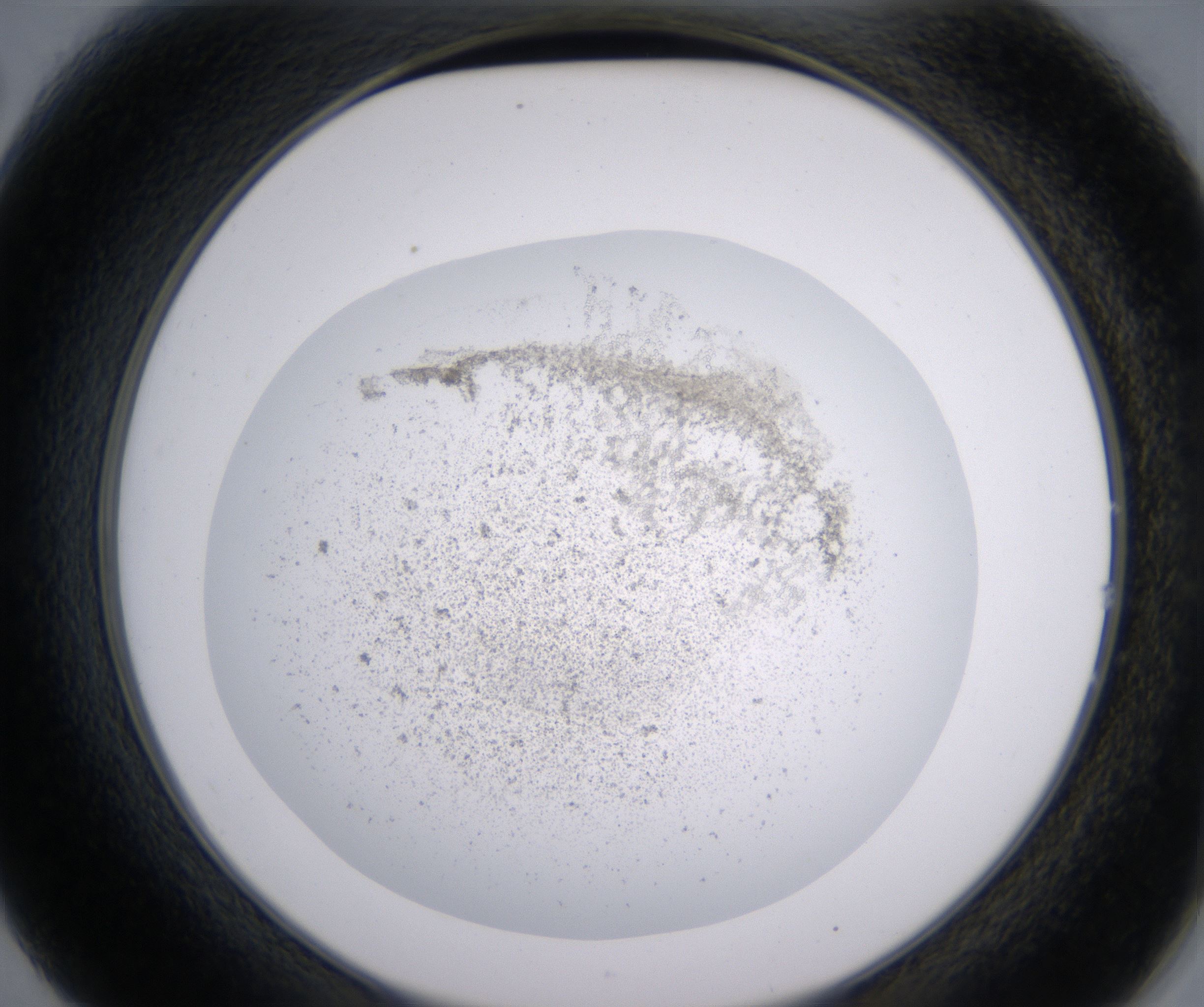 B2_HighResolution_Precipitate_2.jpg