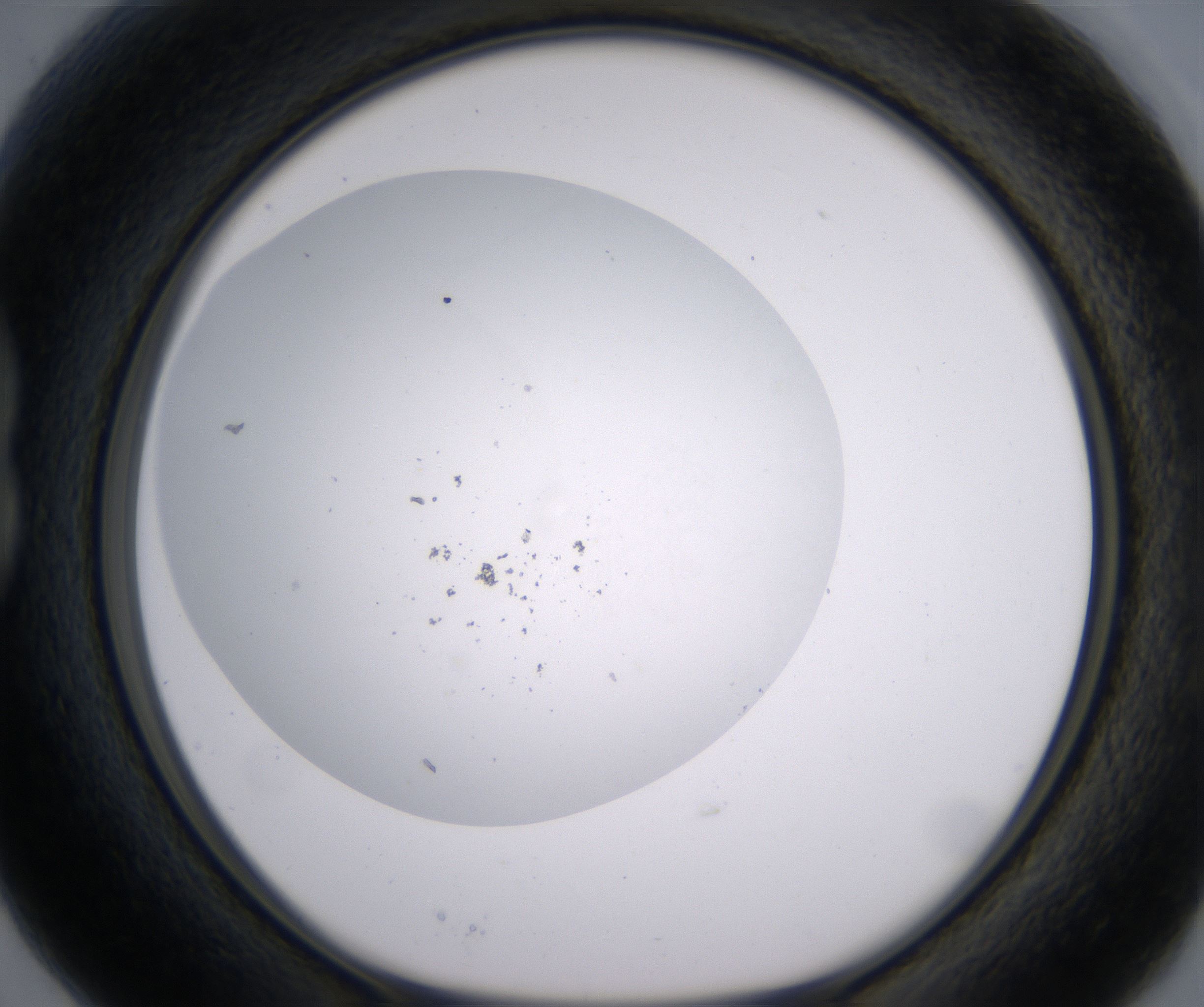 B3_HighResolution_Precipitate_1.jpg