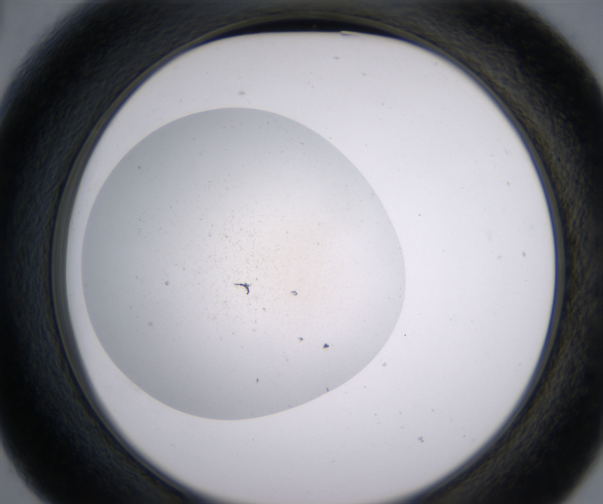 B3_HighResolution_Precipitate_2.jpg