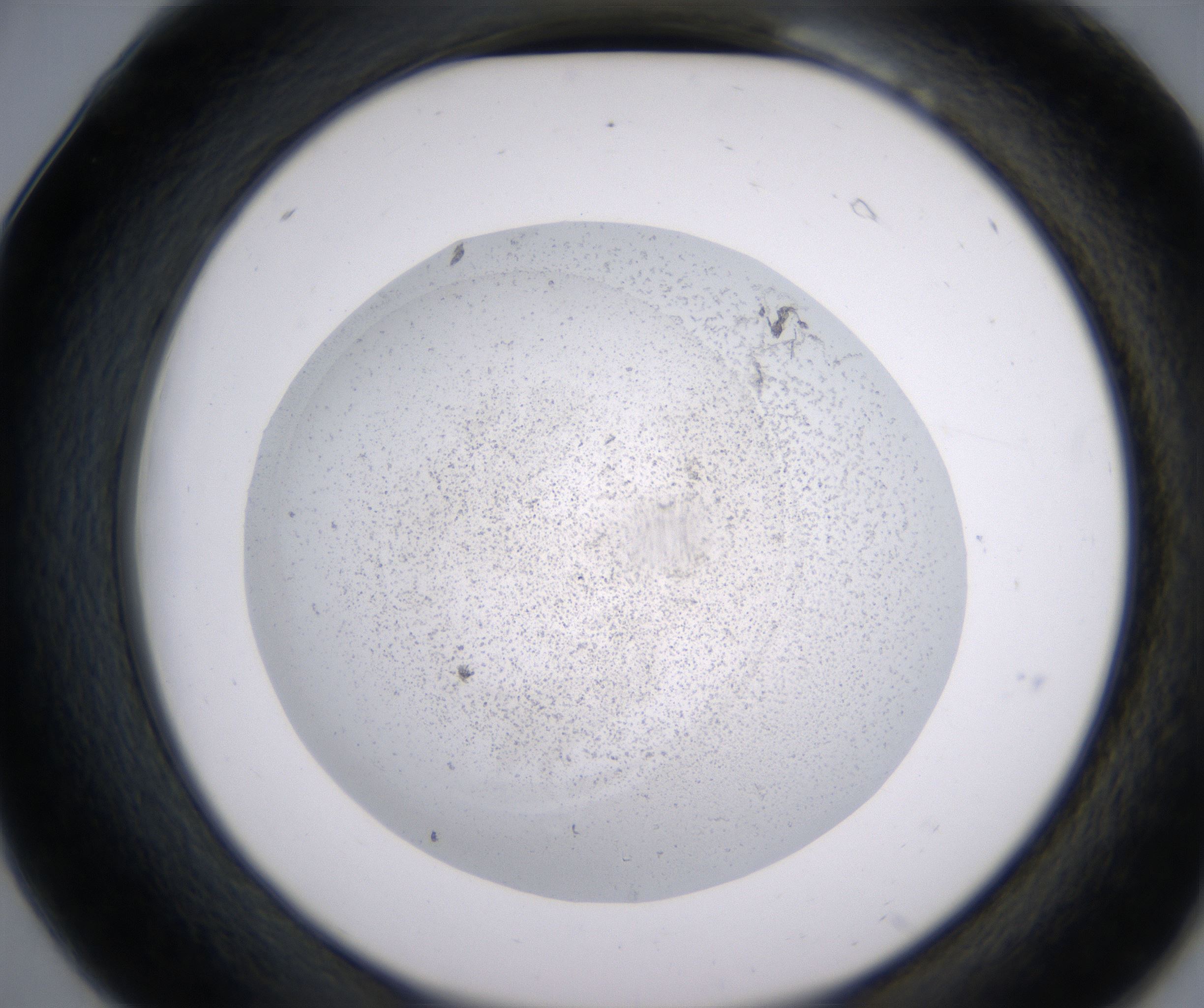 B6_HighResolution_Precipitate_2.jpg