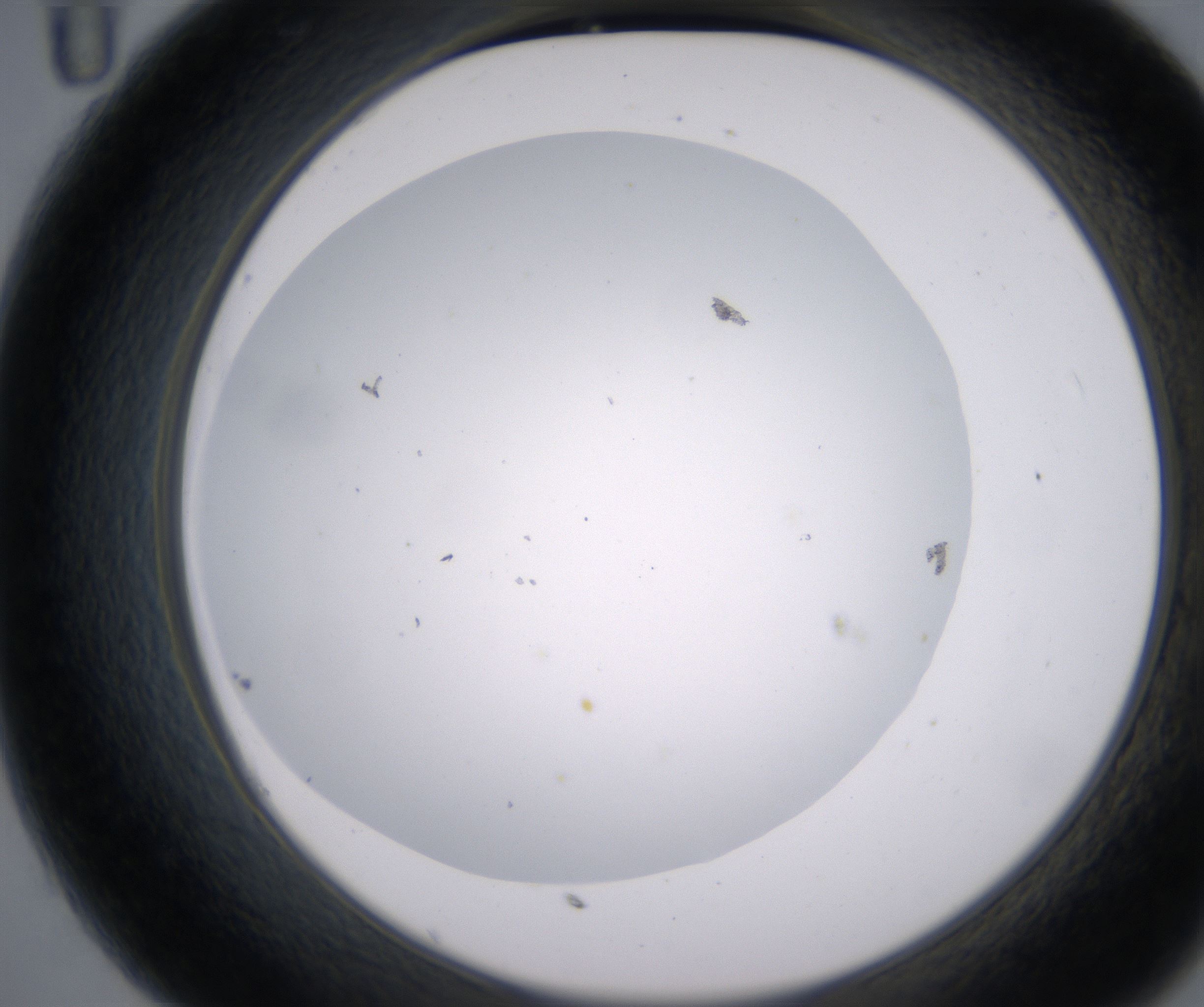 C11_HighResolution_Clear_2.jpg