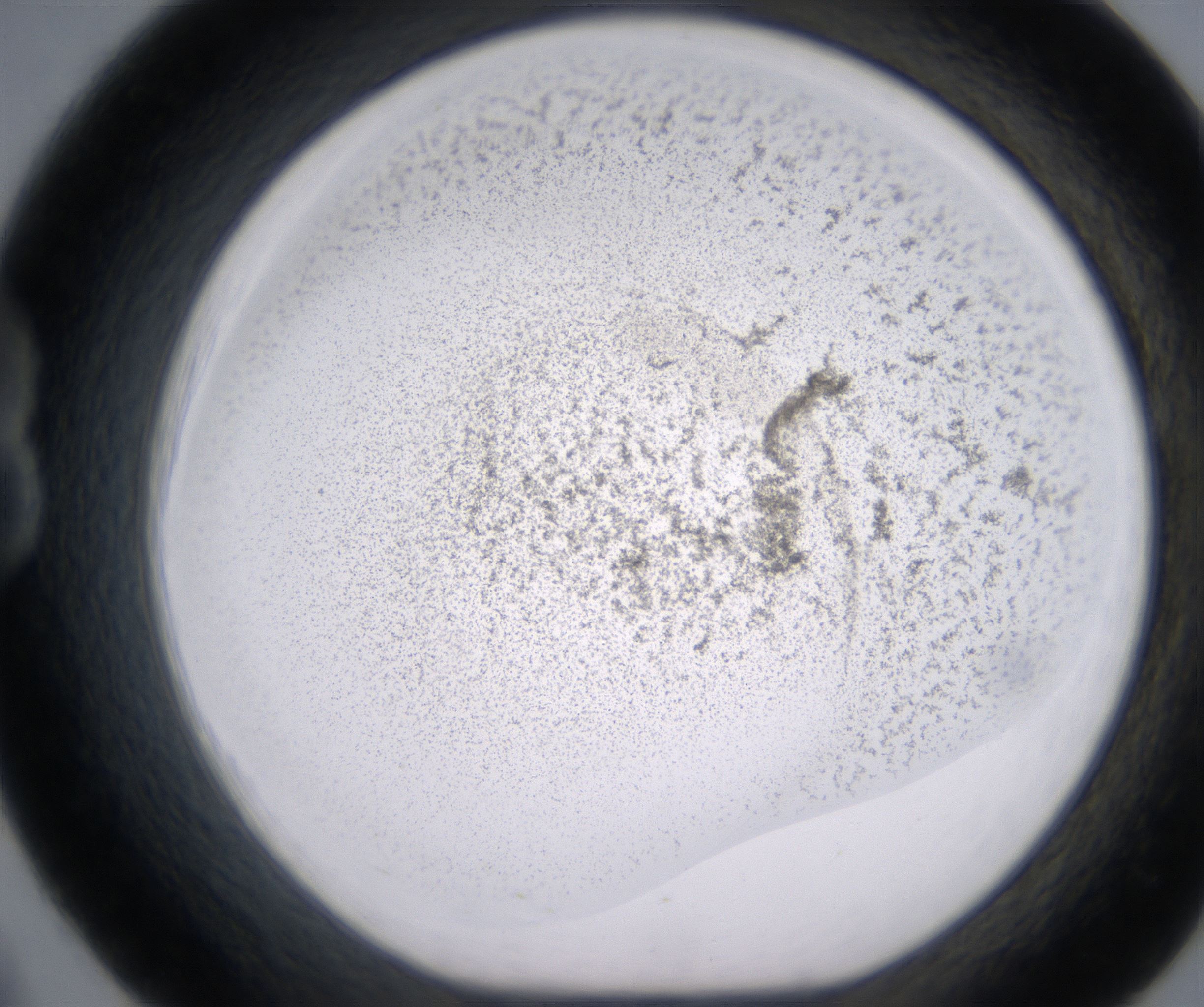 B8_HighResolution_Precipitate_1.jpg