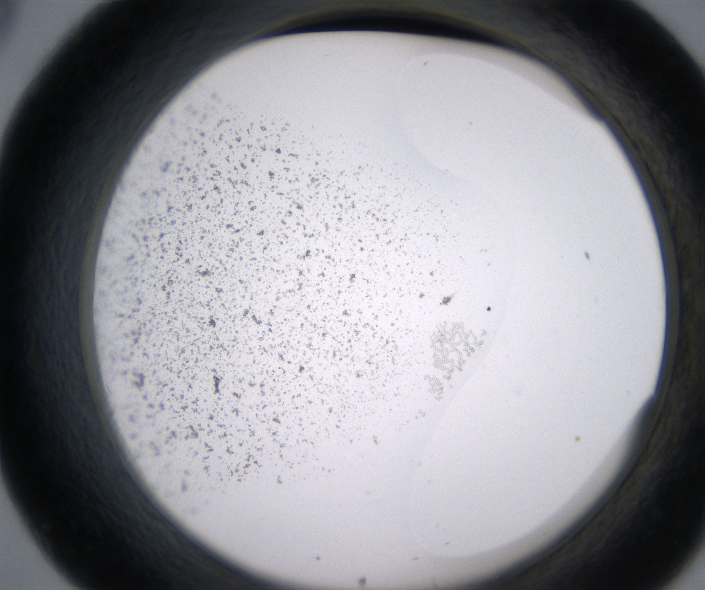 B8_HighResolution_Precipitate_2.jpg