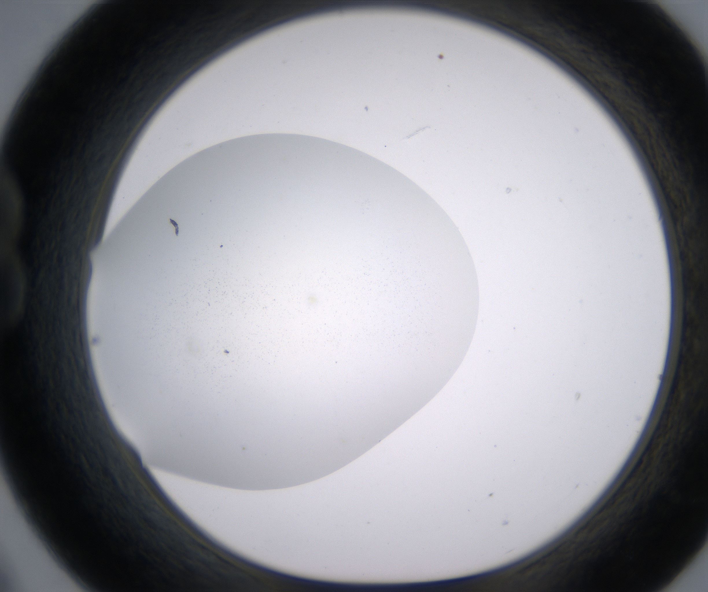 B9_HighResolution_Precipitate_1.jpg