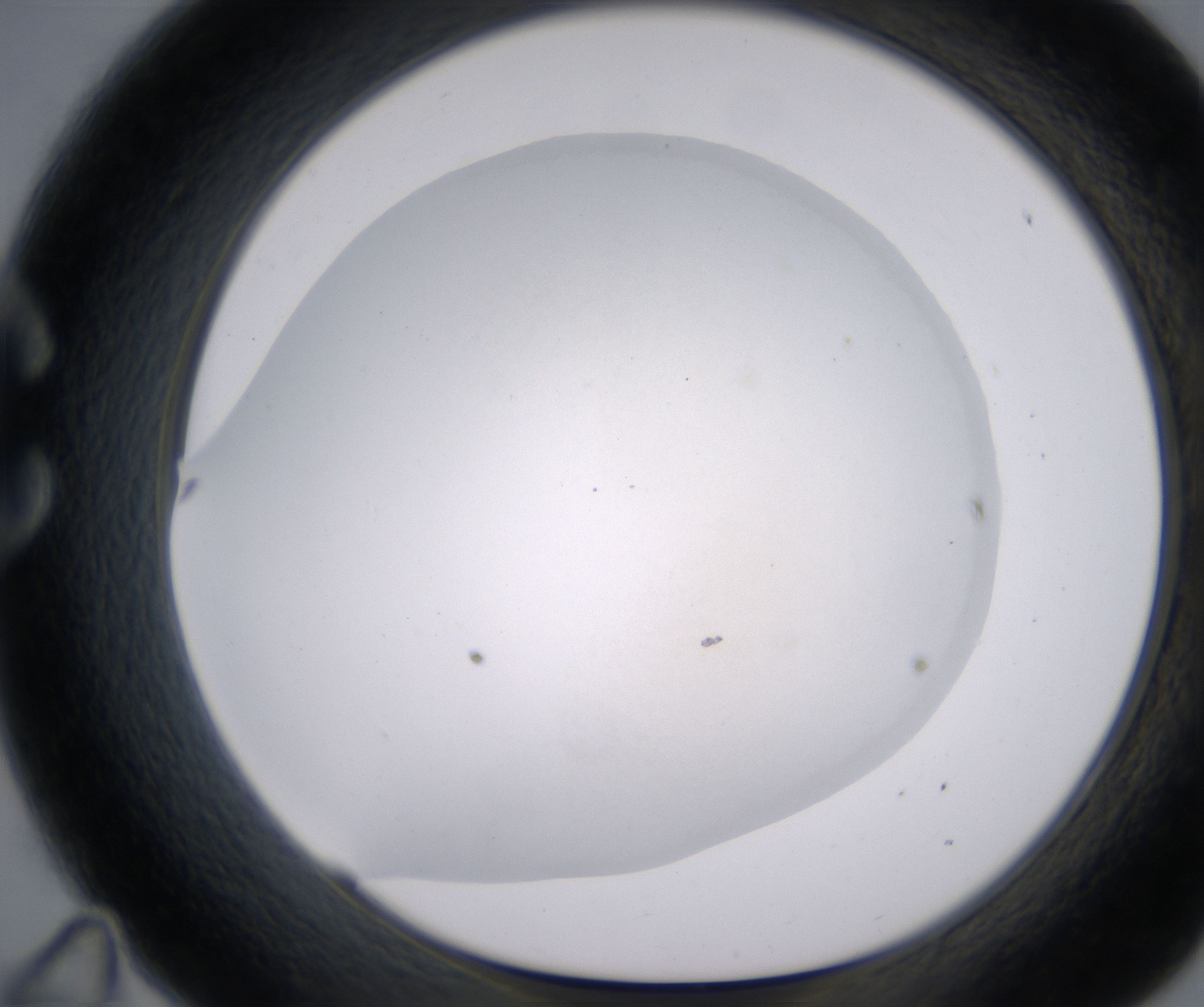 C11_HighResolution_Precipitate_1.jpg