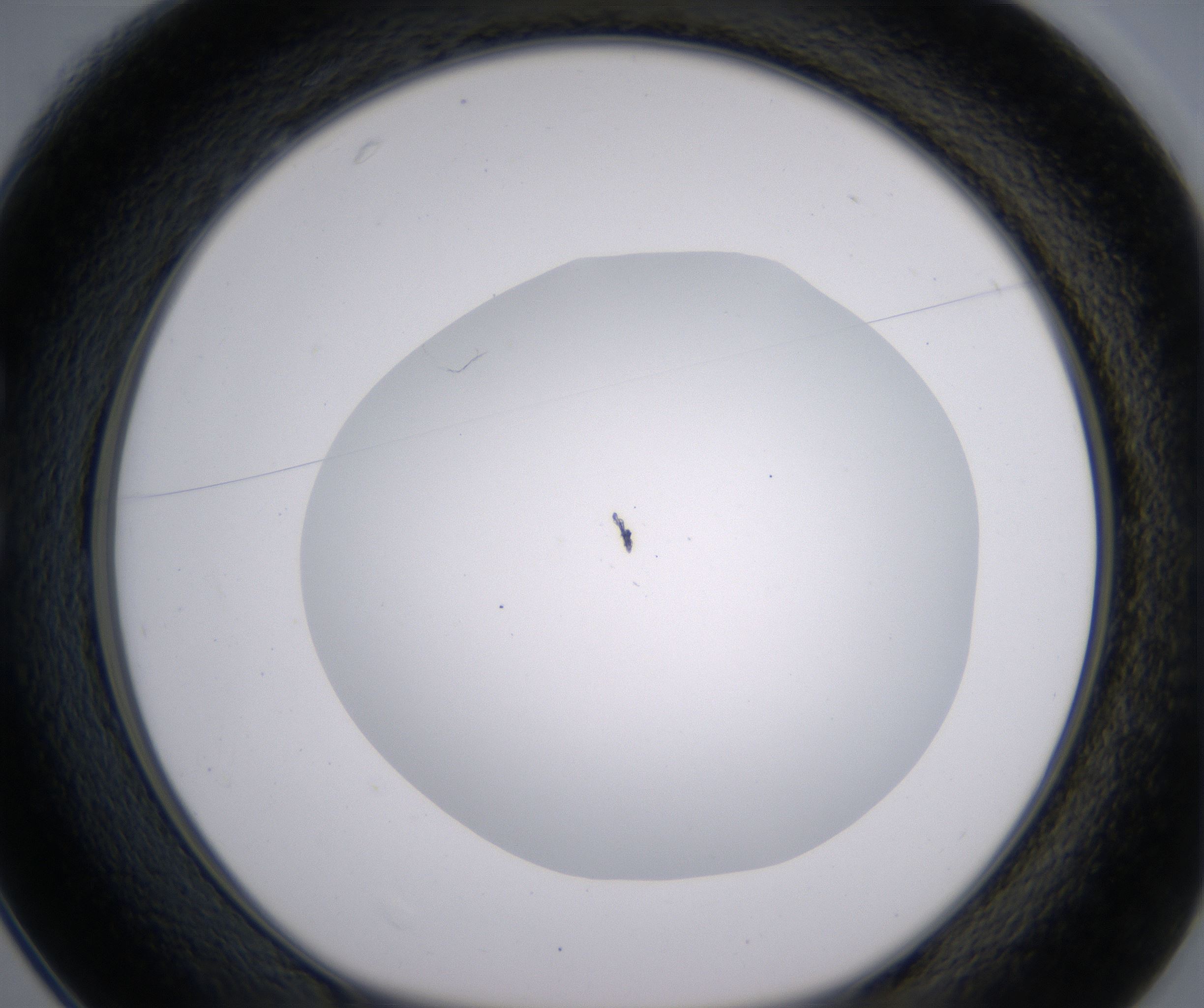 C1_HighResolution_Clear_1.jpg