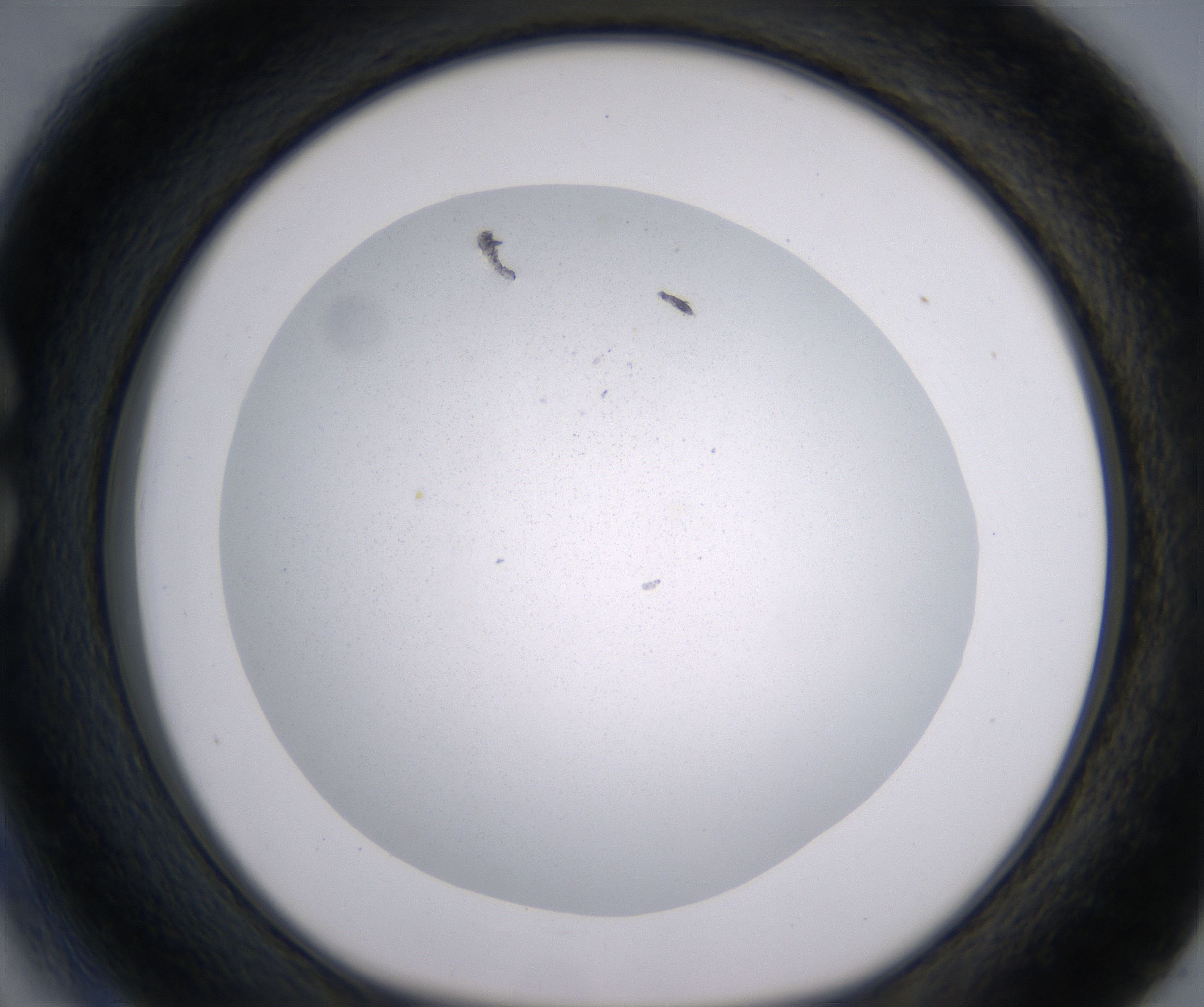 C3_HighResolution_Precipitate_1.jpg