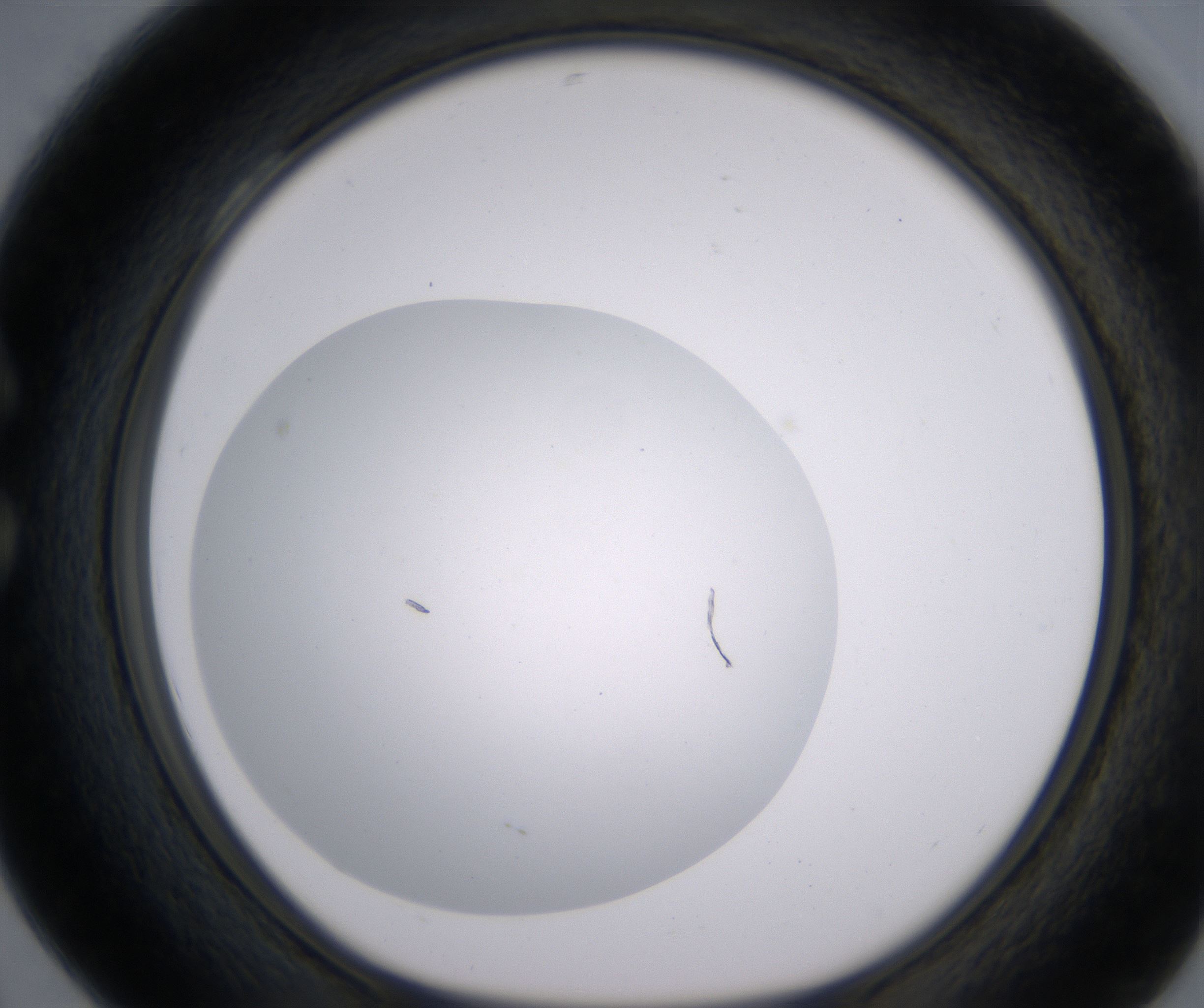 C4_HighResolution_Clear_1.jpg