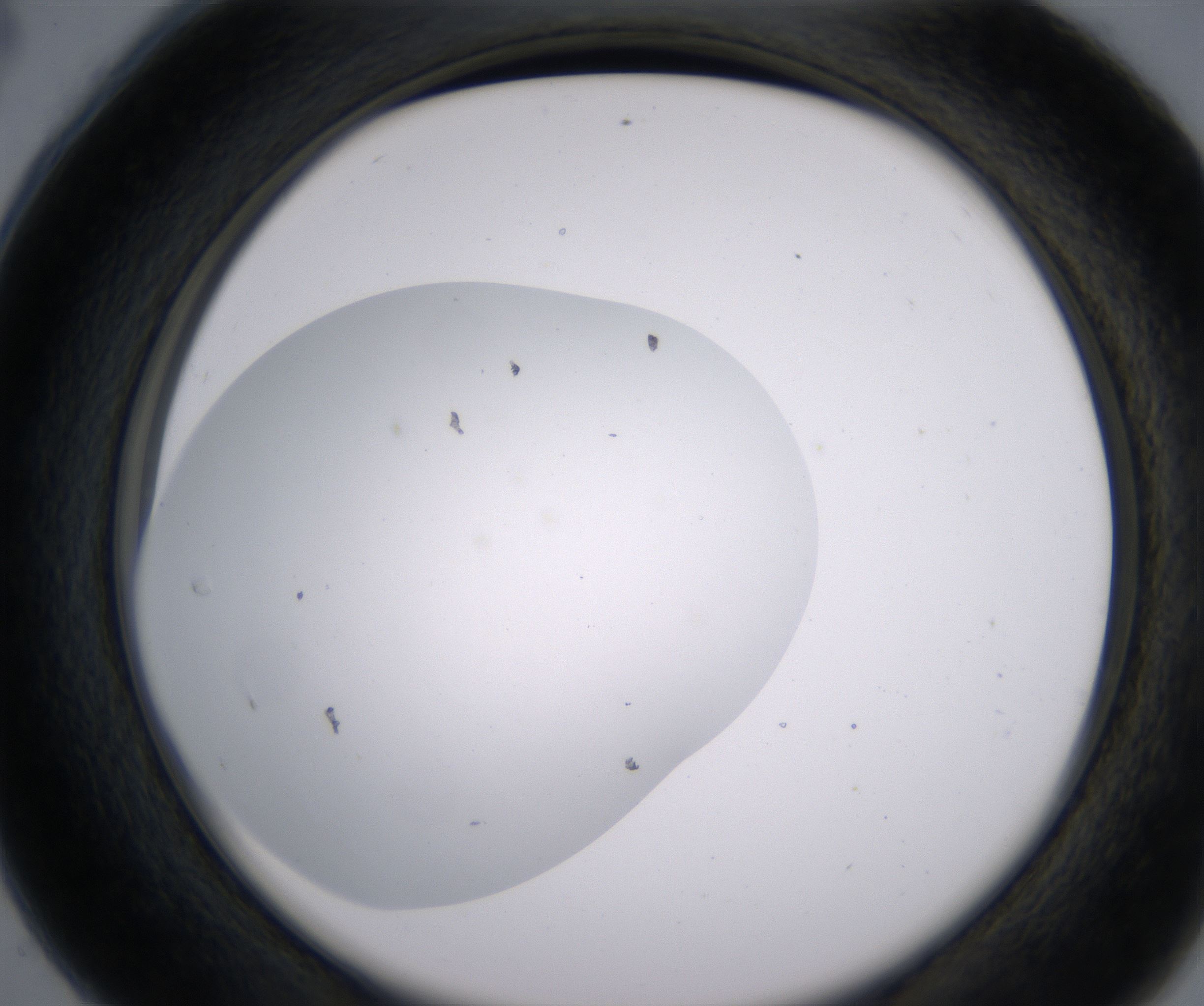 C4_HighResolution_Clear_2.jpg