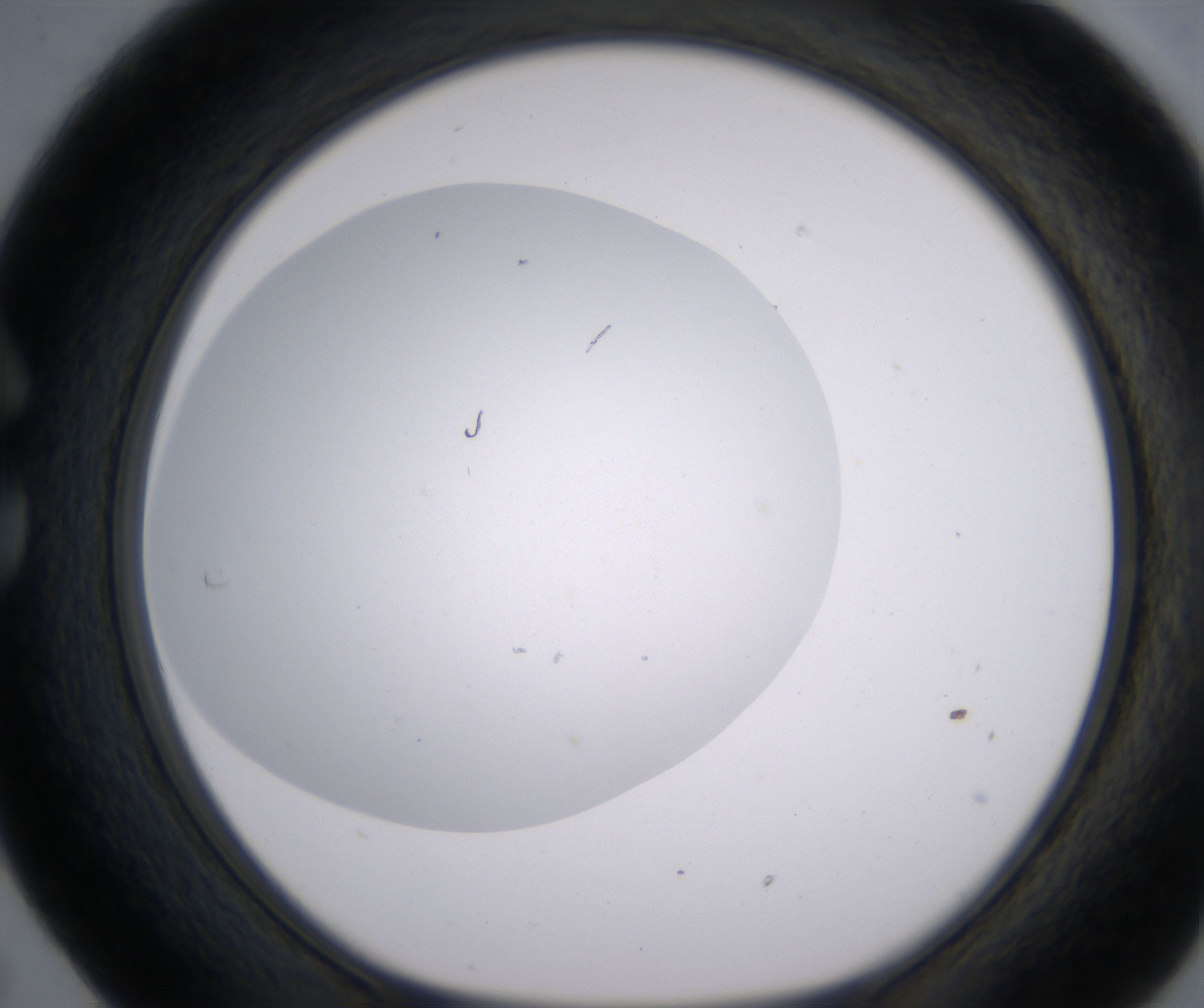 C5_HighResolution_Clear_1.jpg
