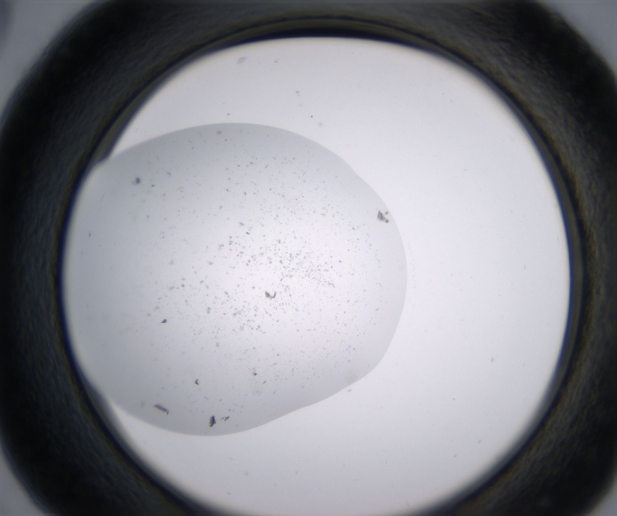 C5_HighResolution_Precipitate_2.jpg
