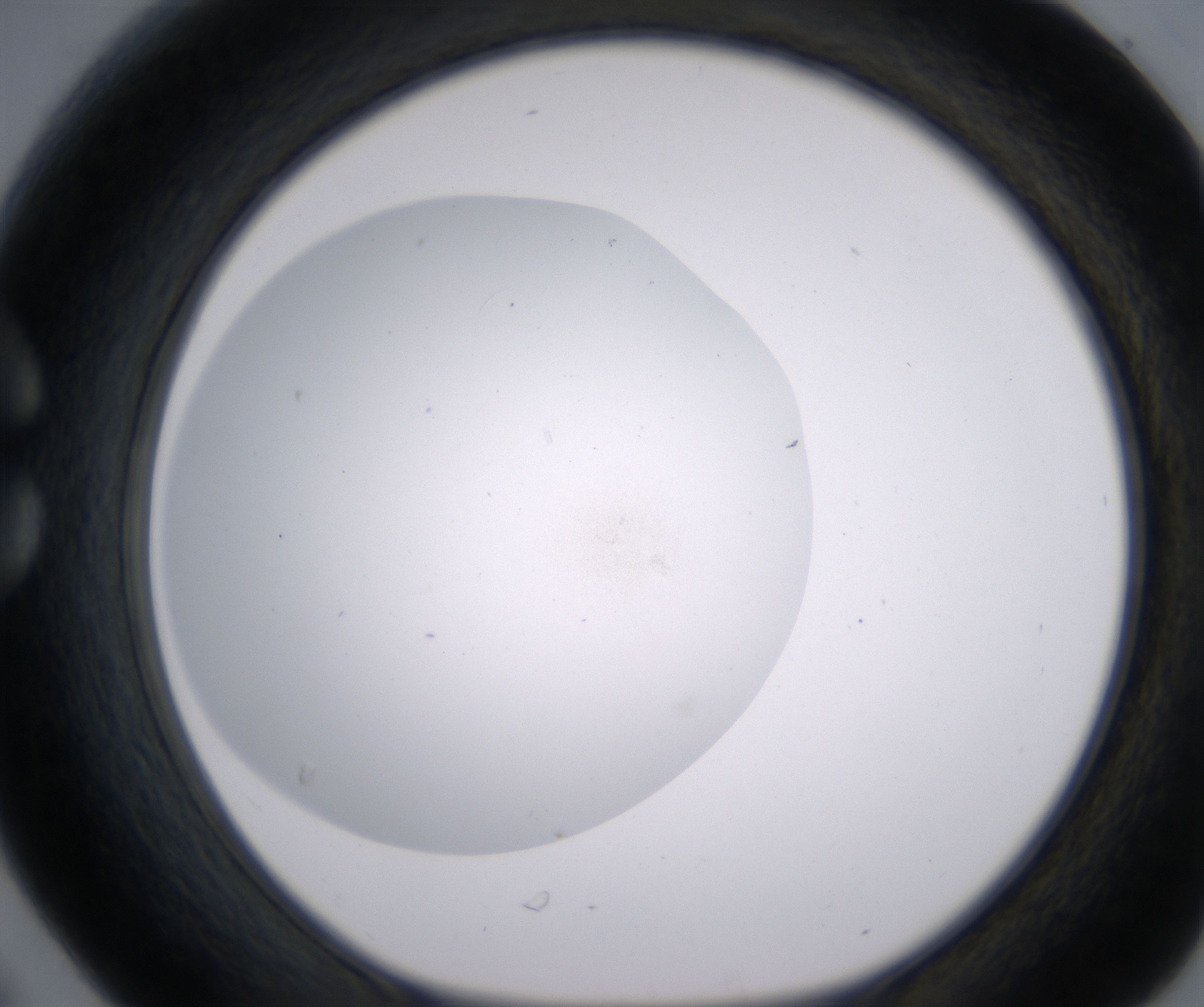 C6_HighResolution_Clear_1.jpg