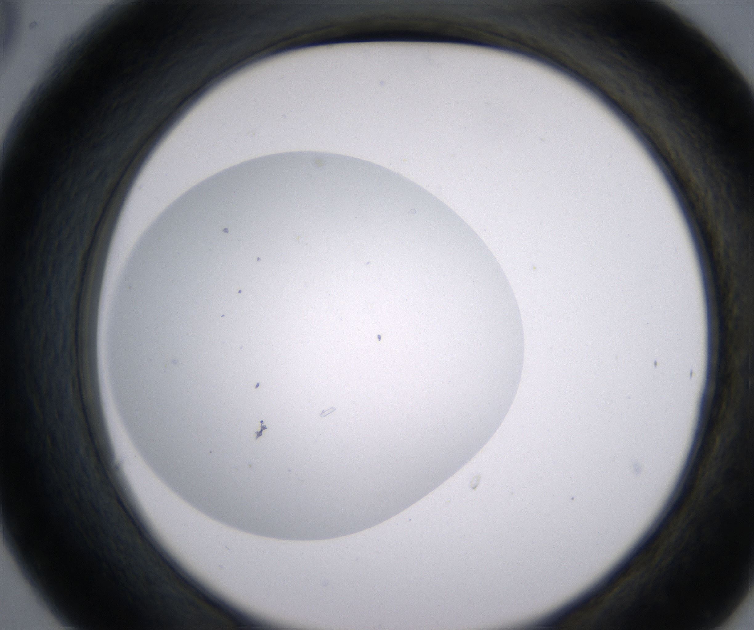 C6_HighResolution_Precipitate_2.jpg