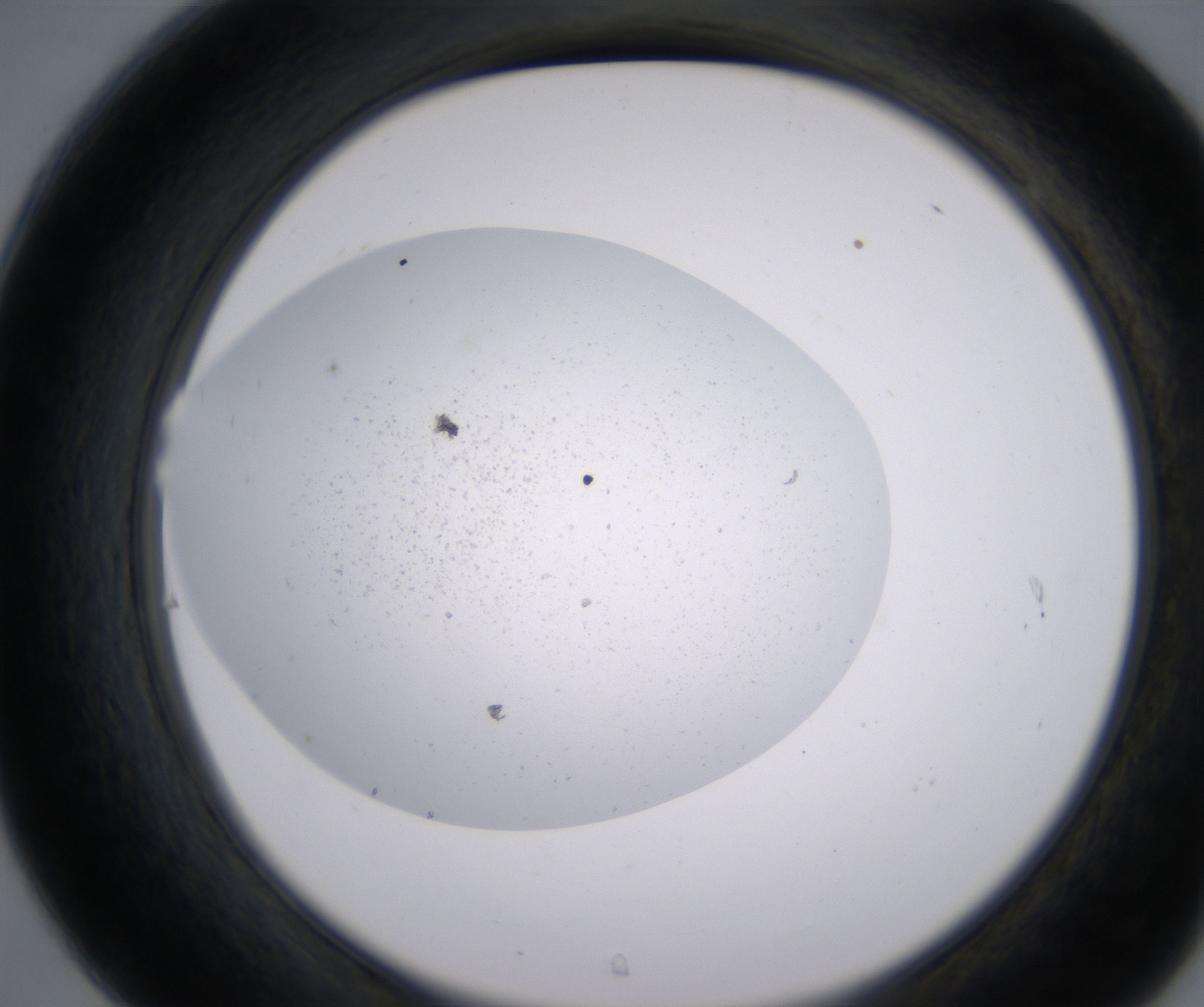 C7_HighResolution_Precipitate_2.jpg