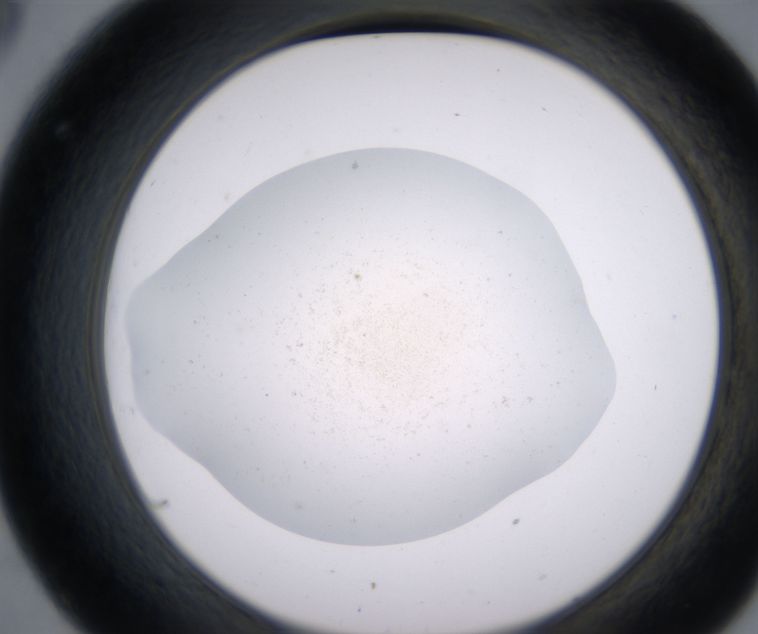 C8_HighResolution_Precipitate_2.jpg