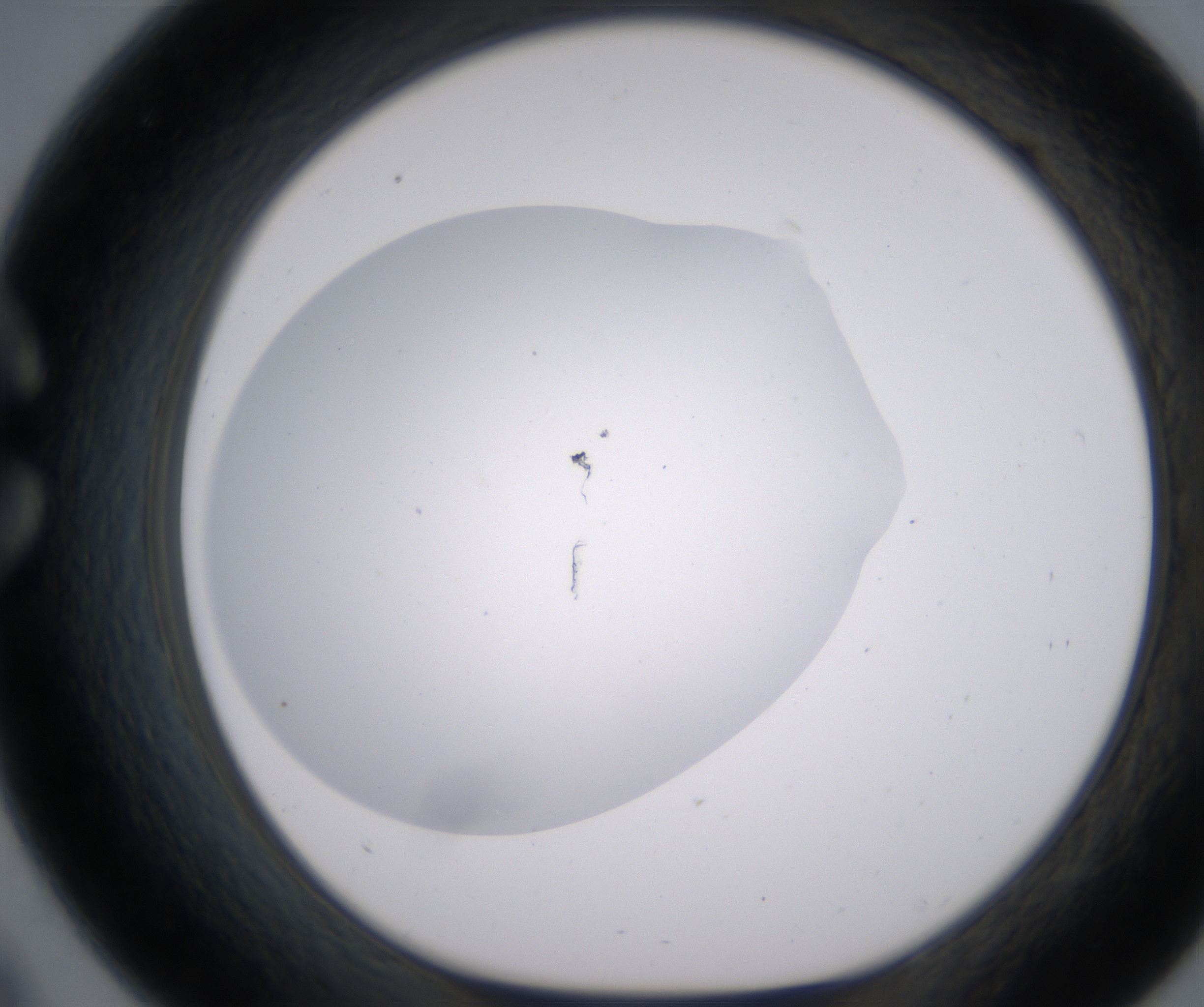 C9_HighResolution_Clear_1.jpg