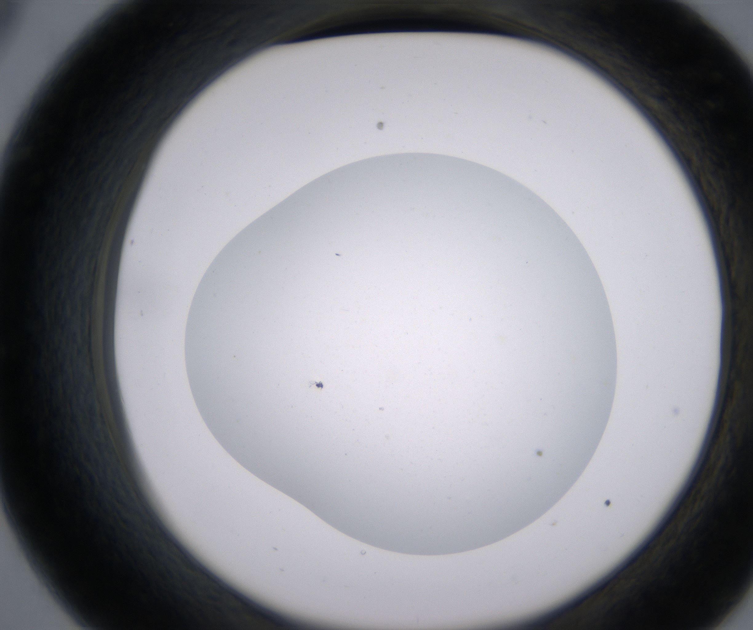 C9_HighResolution_Clear_2.jpg