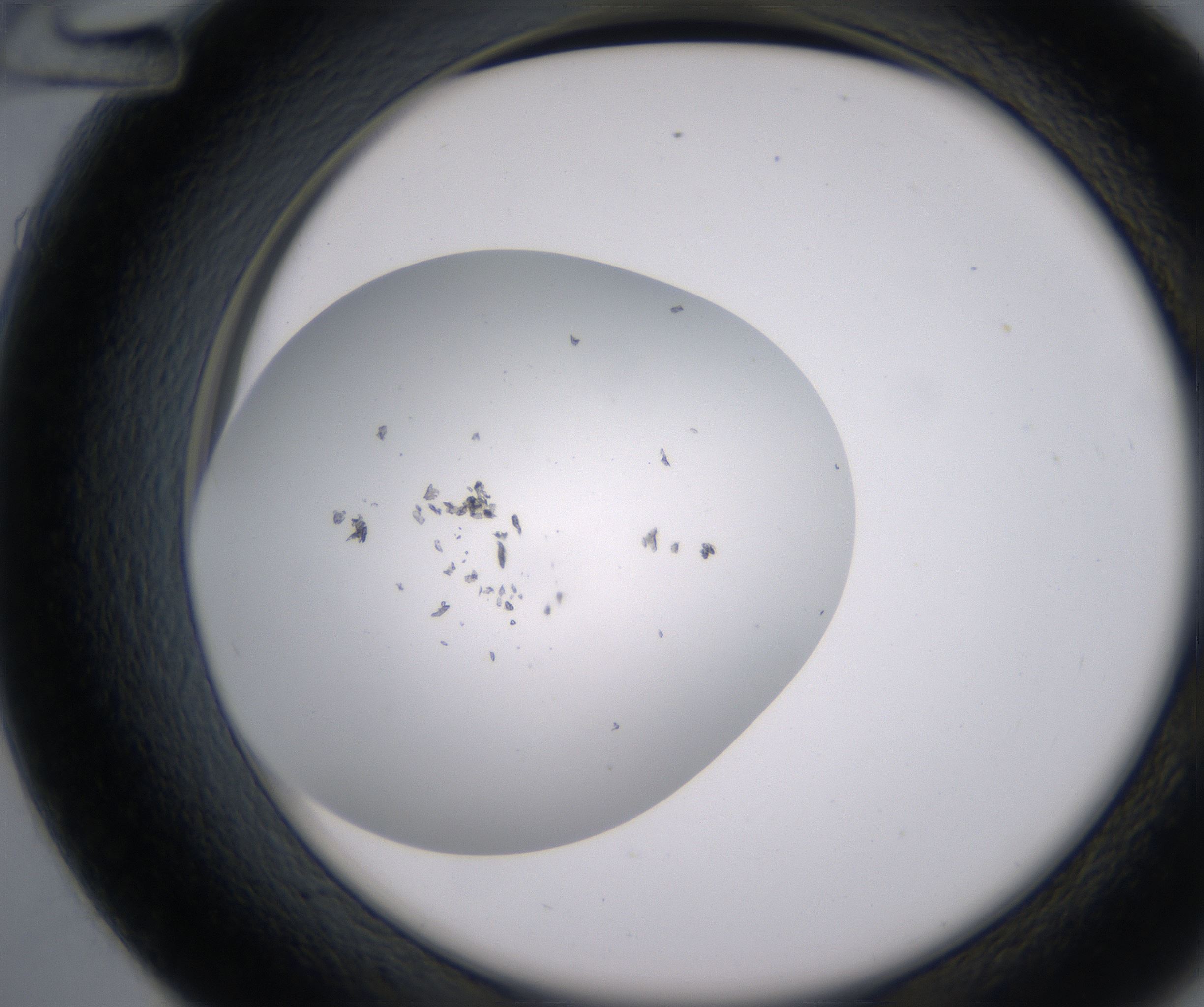 D12_HighResolution_Precipitate_2.jpg