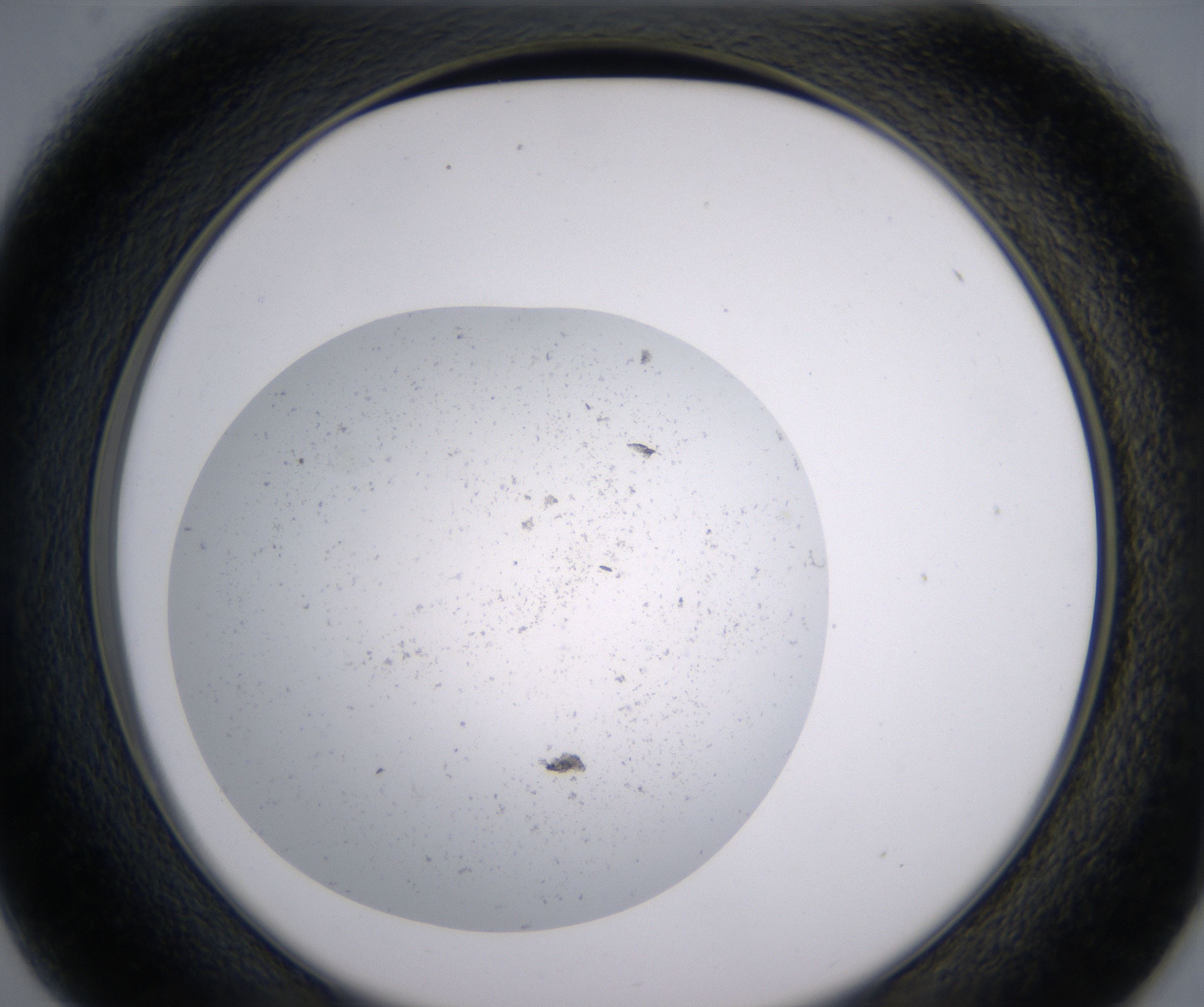 D1_HighResolution_Precipitate_2.jpg