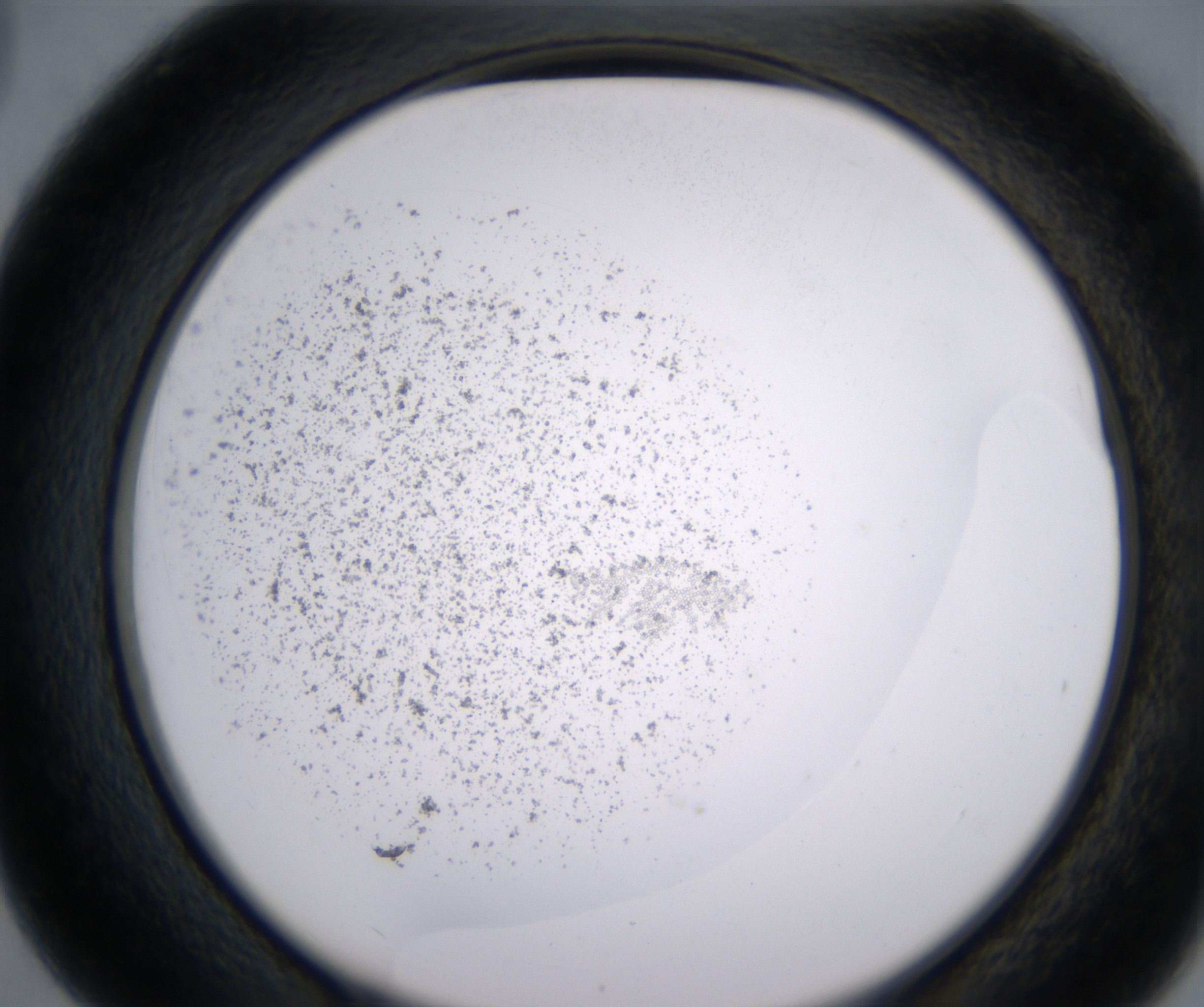 D3_HighResolution_Precipitate_2.jpg