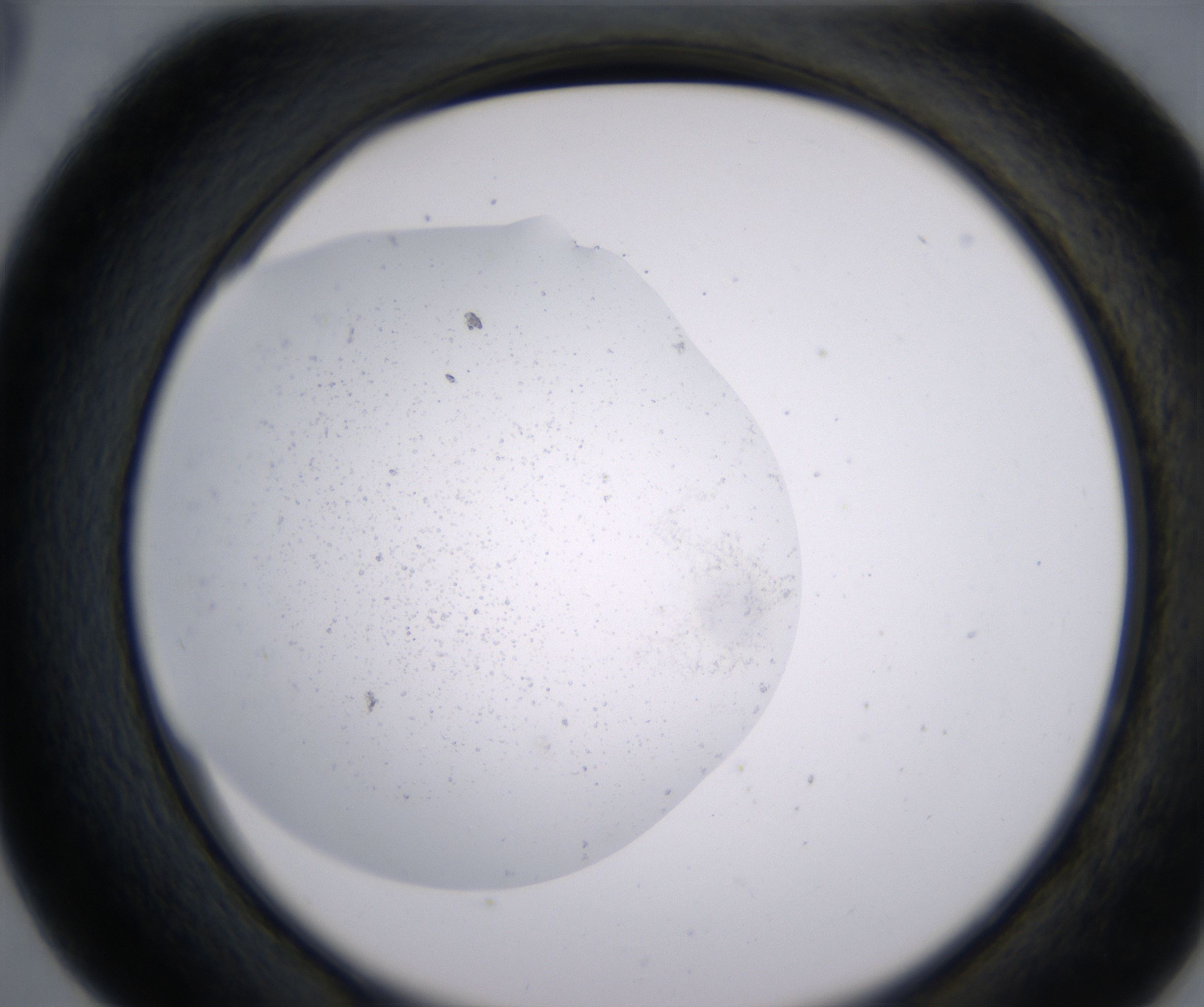 D5_HighResolution_Precipitate_2.jpg