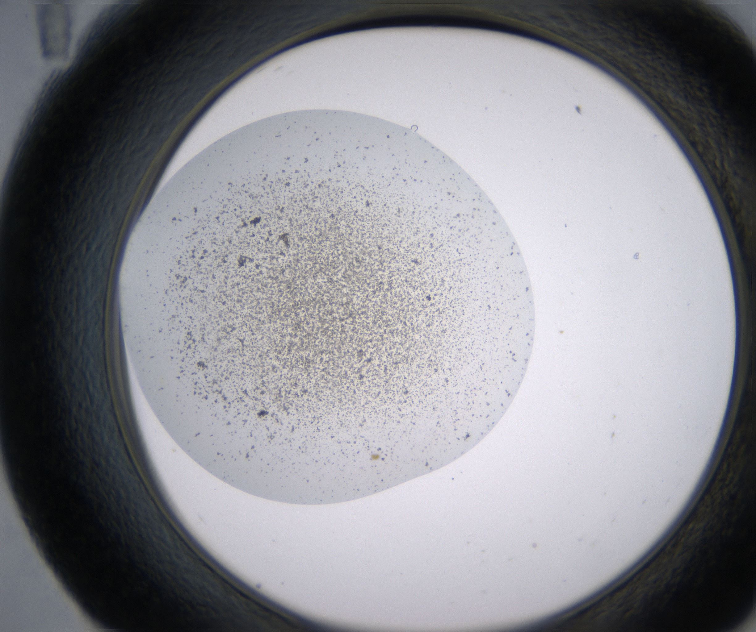 E11_HighResolution_Precipitate_2.jpg