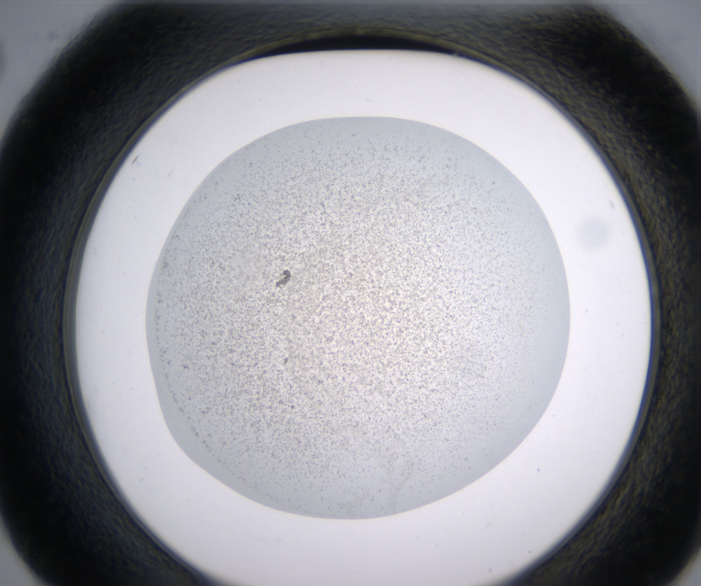 E2_HighResolution_Precipitate_2.jpg