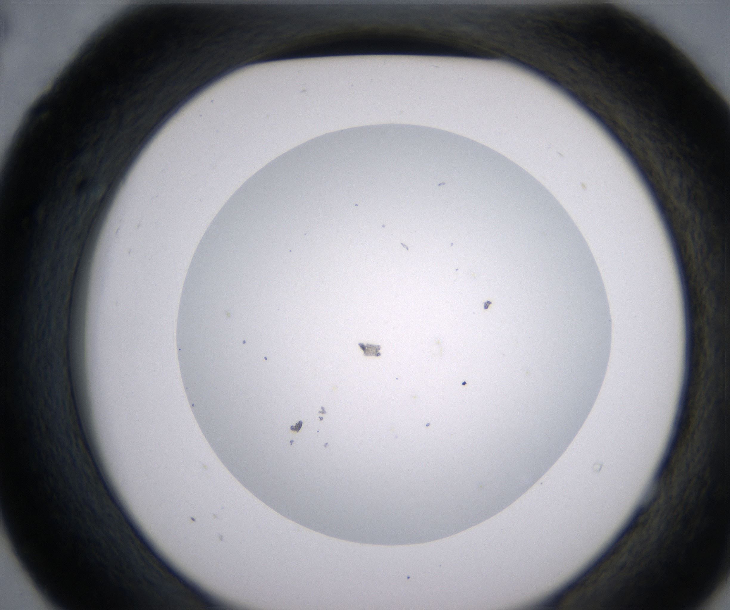 E4_HighResolution_Clear_2.jpg