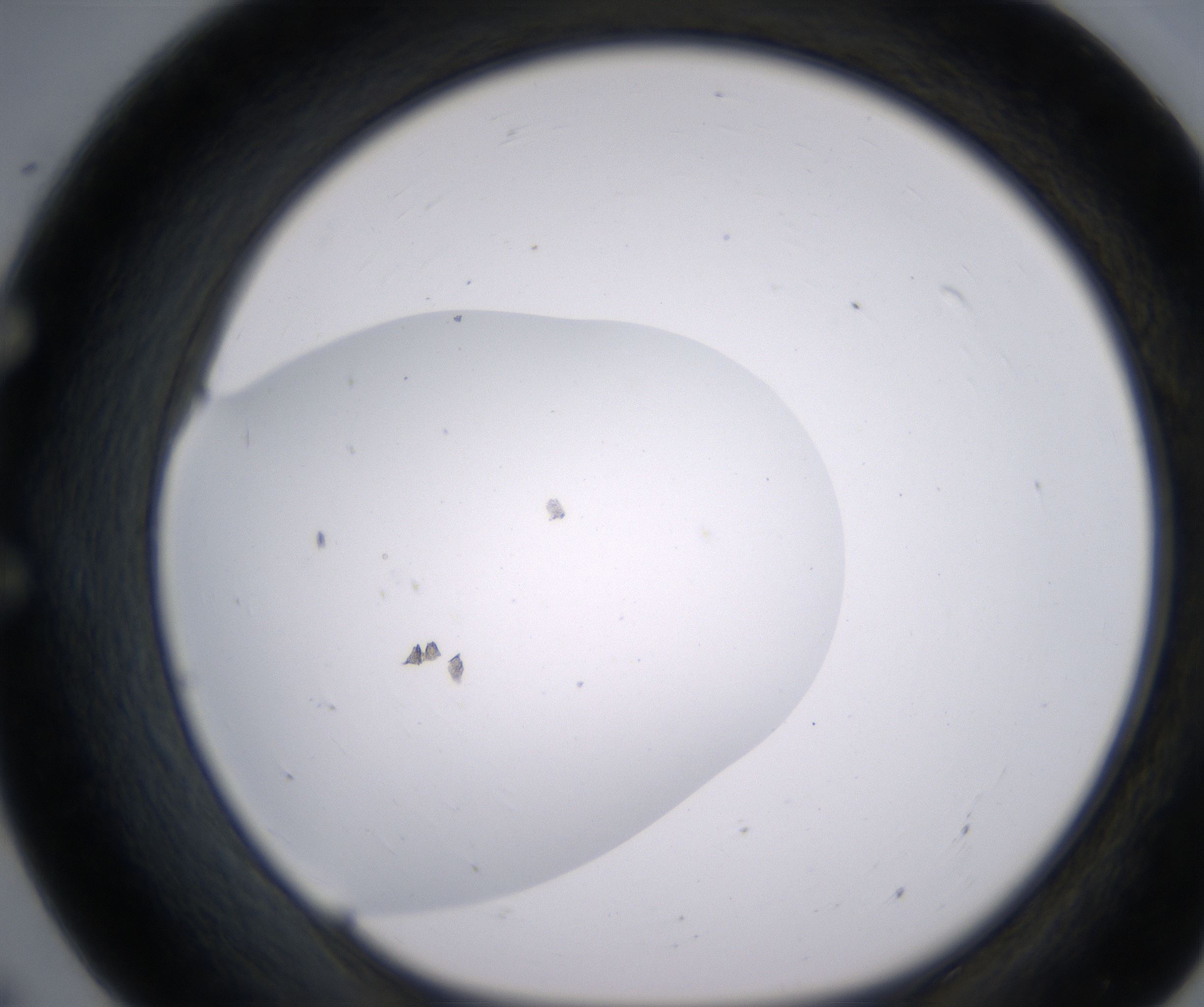 E7_HighResolution_Clear_1.jpg