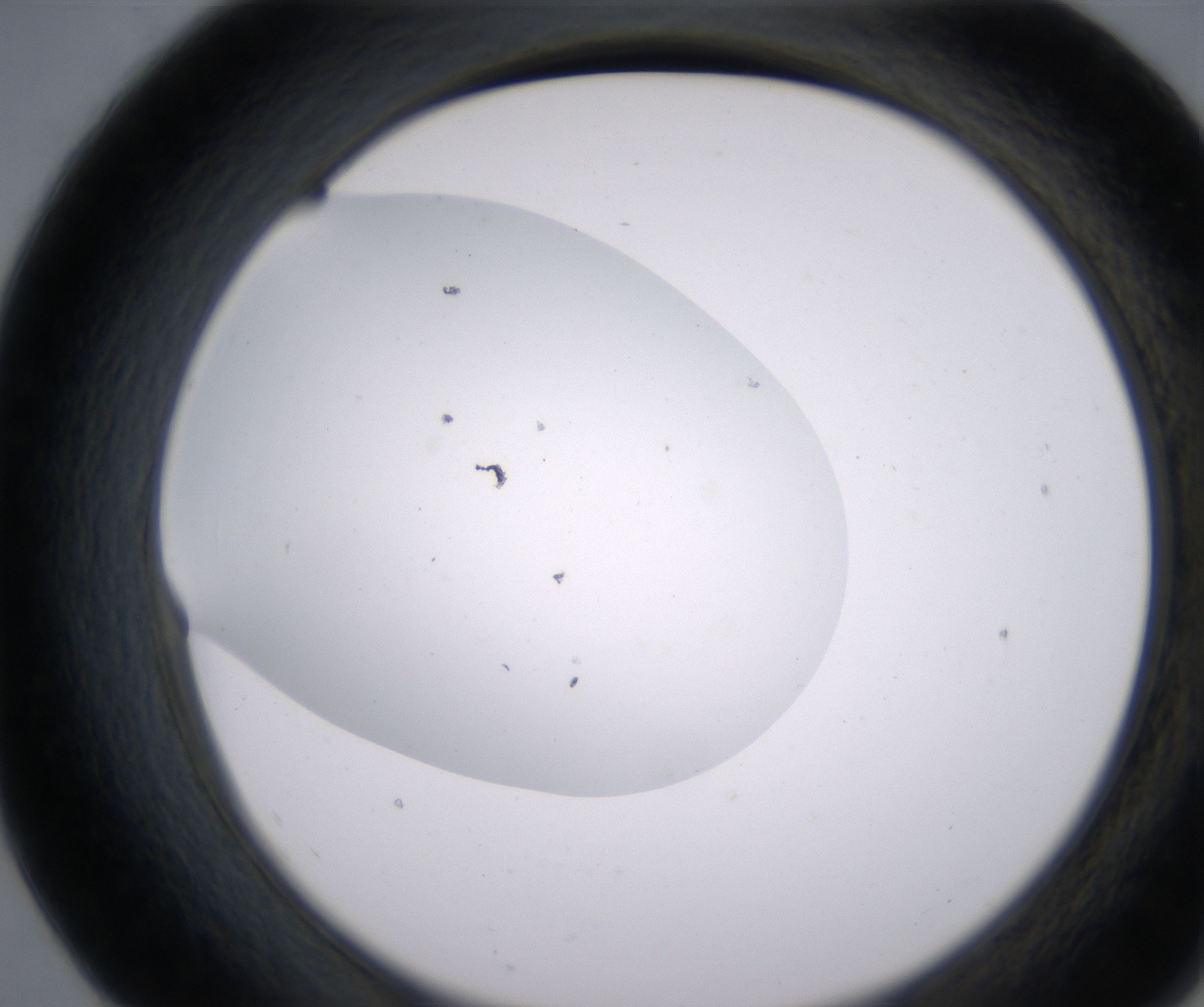 E7_HighResolution_Clear_2.jpg