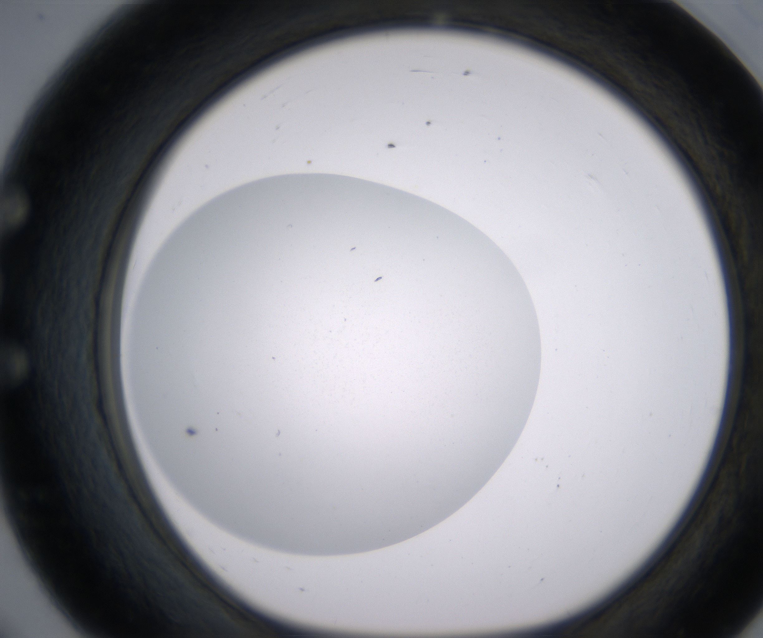 E8_HighResolution_Clear_1.jpg