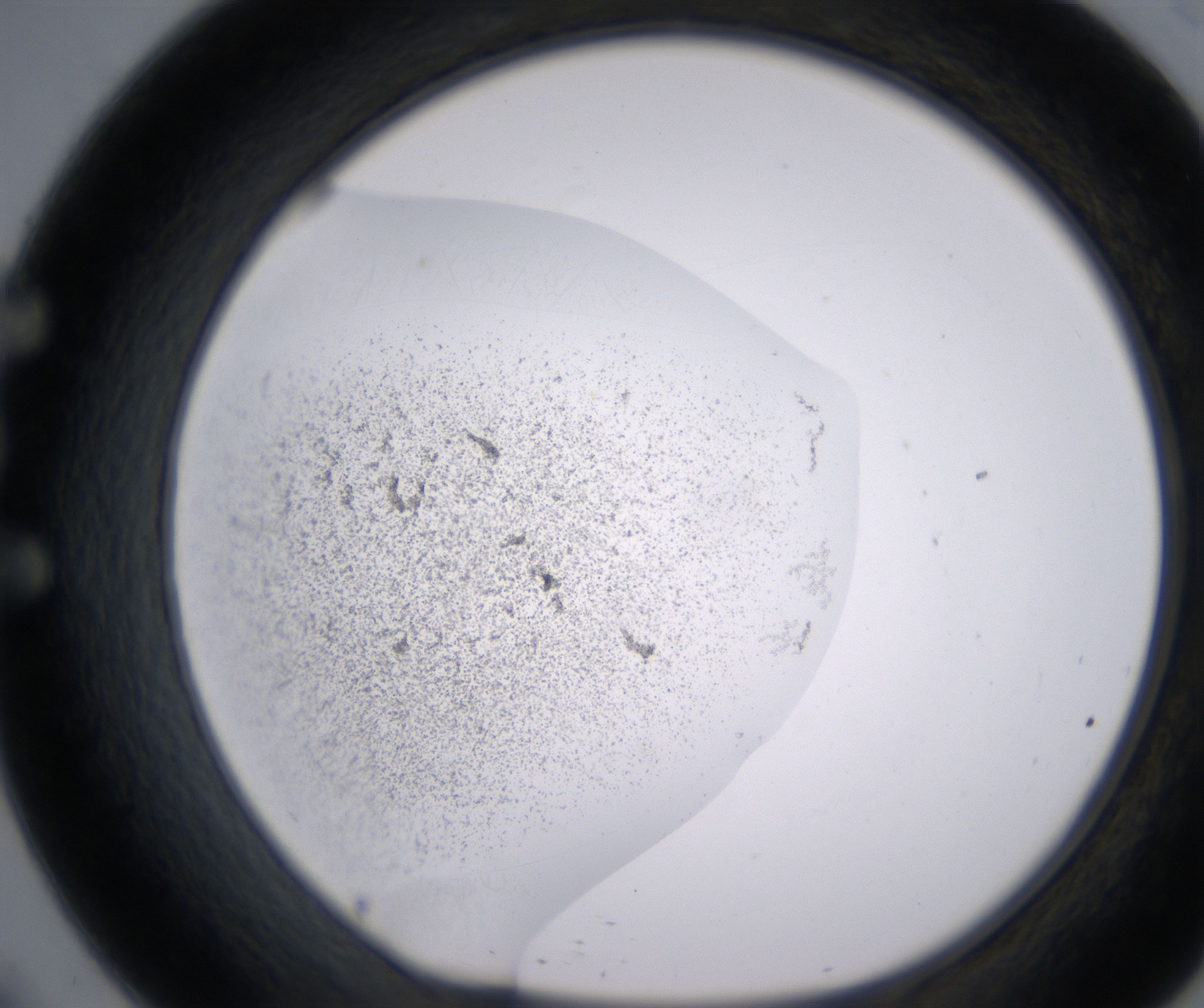 E9_HighResolution_Precipitate_1.jpg