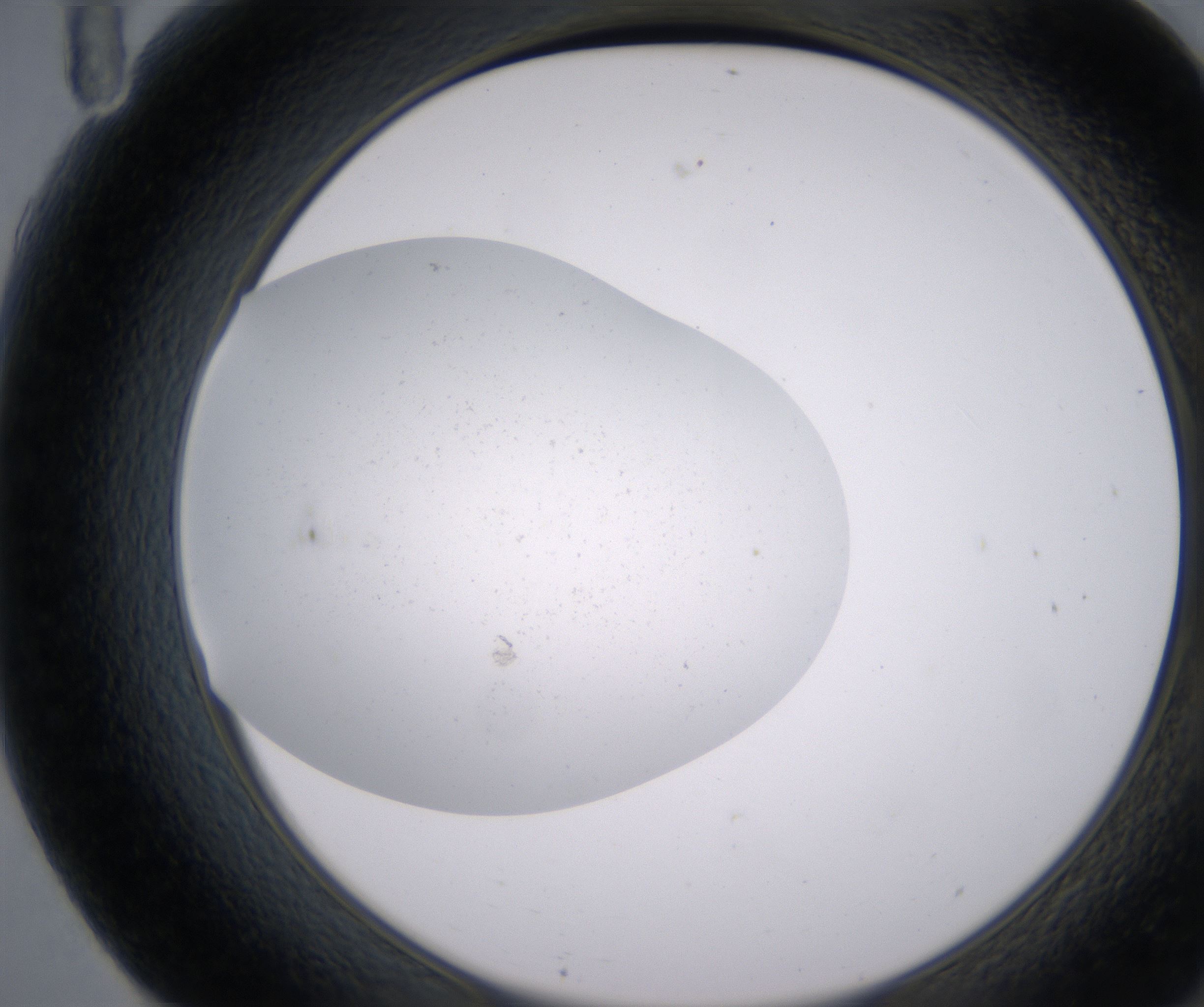 F11_HighResolution_Precipitate_2.jpg