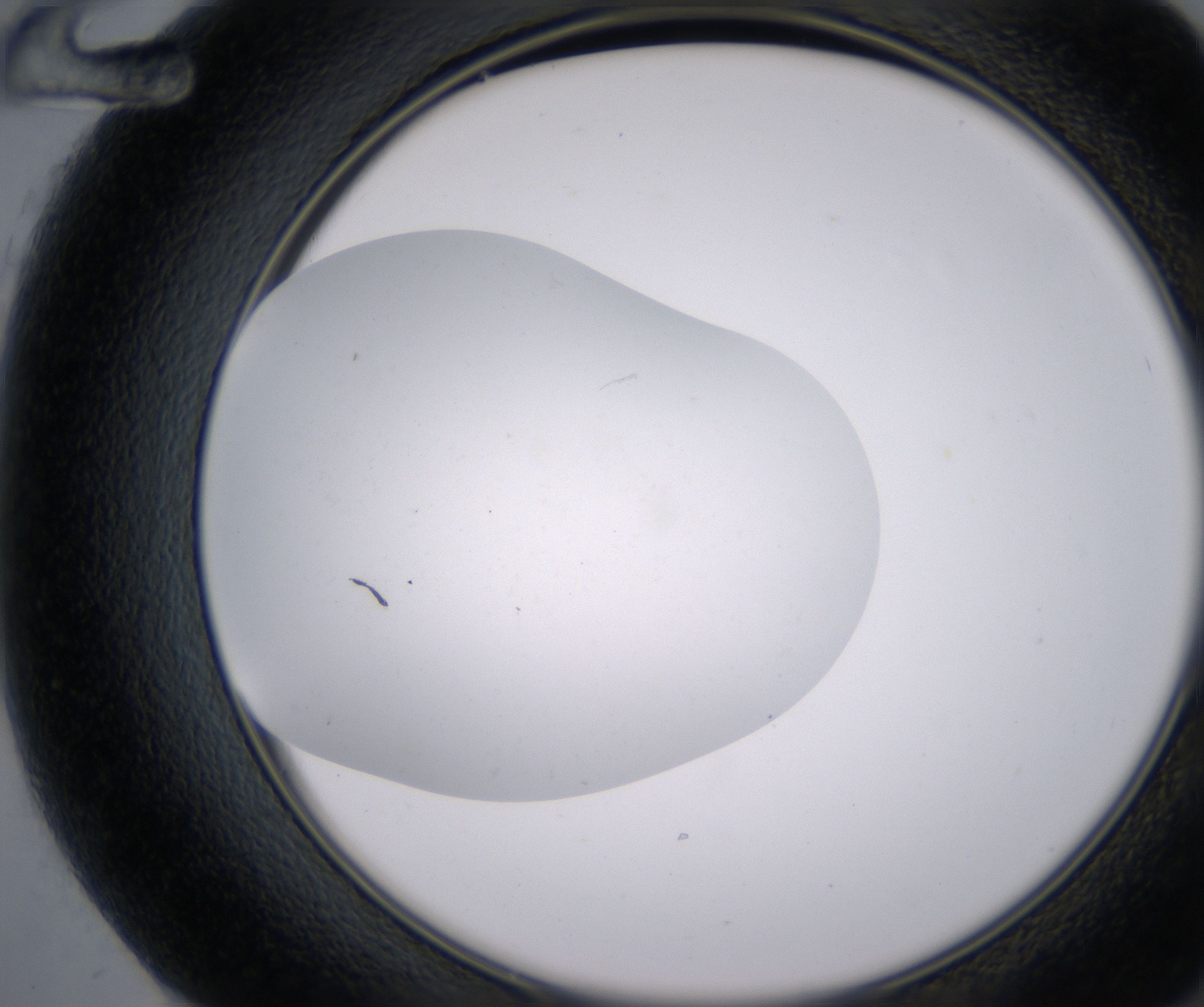 F12_HighResolution_Precipitate_2.jpg
