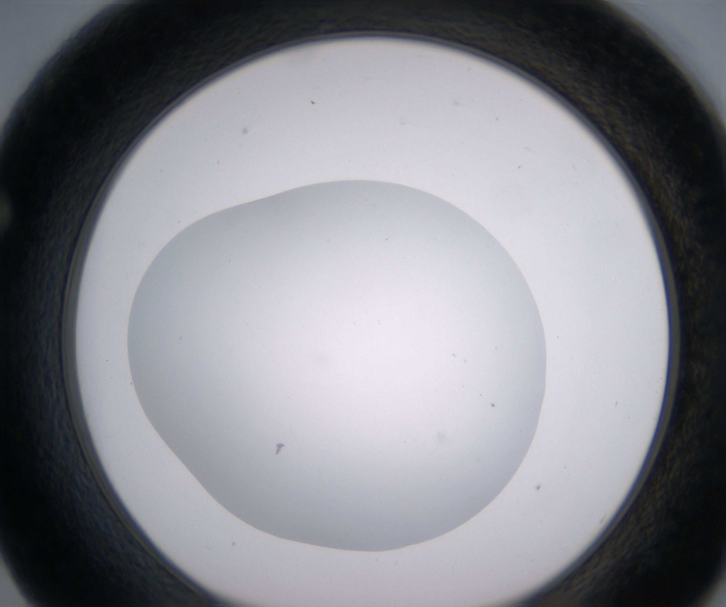 F2_HighResolution_Clear_1.jpg