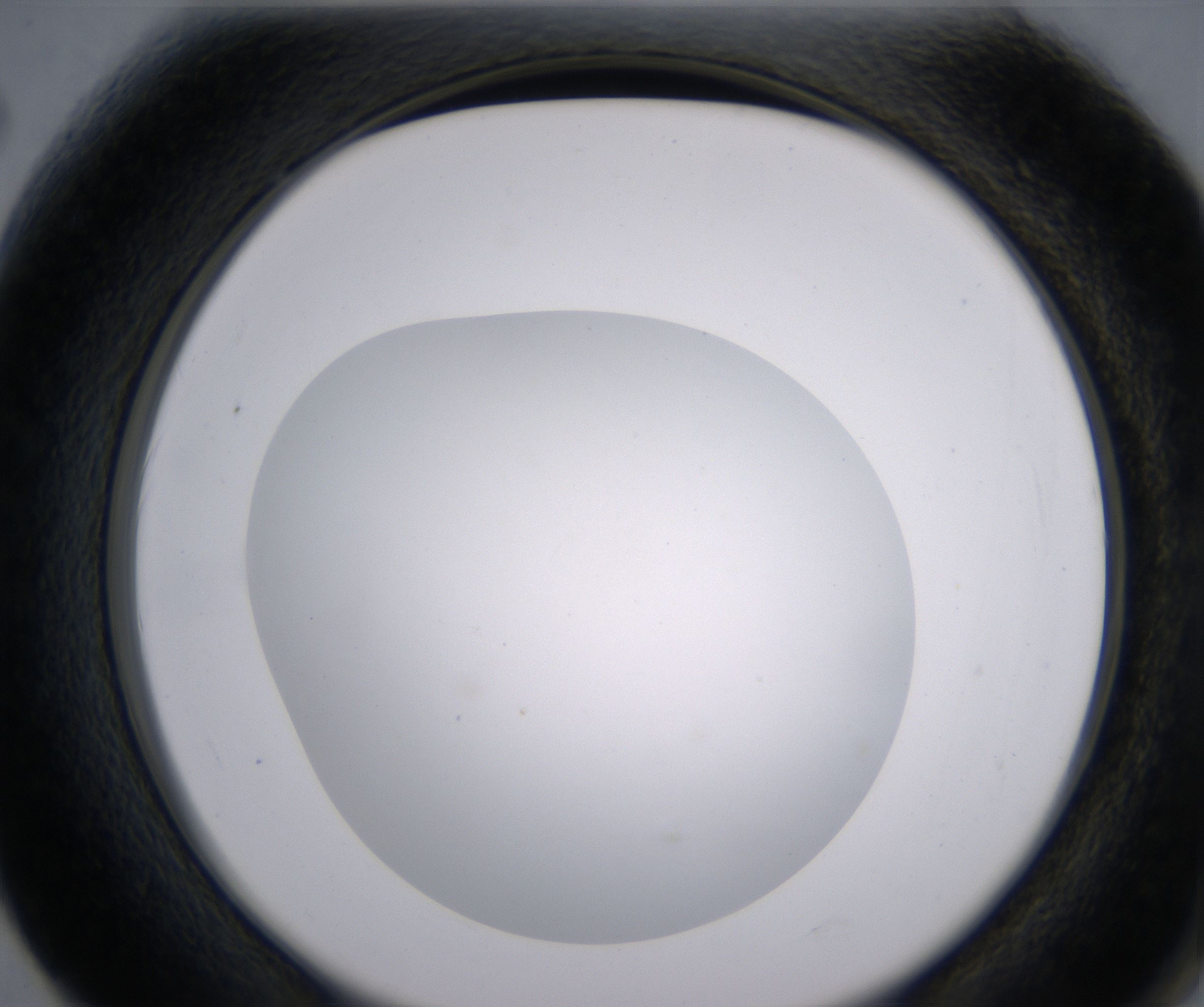 F2_HighResolution_Clear_2.jpg