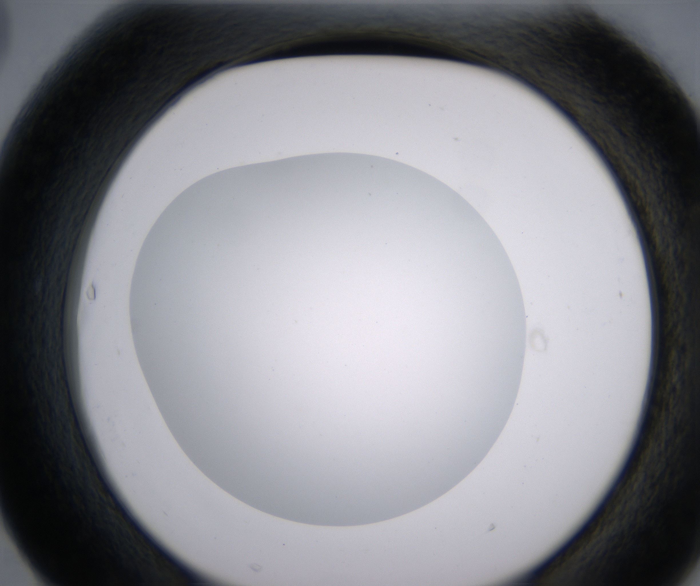 F3_HighResolution_Clear_2.jpg