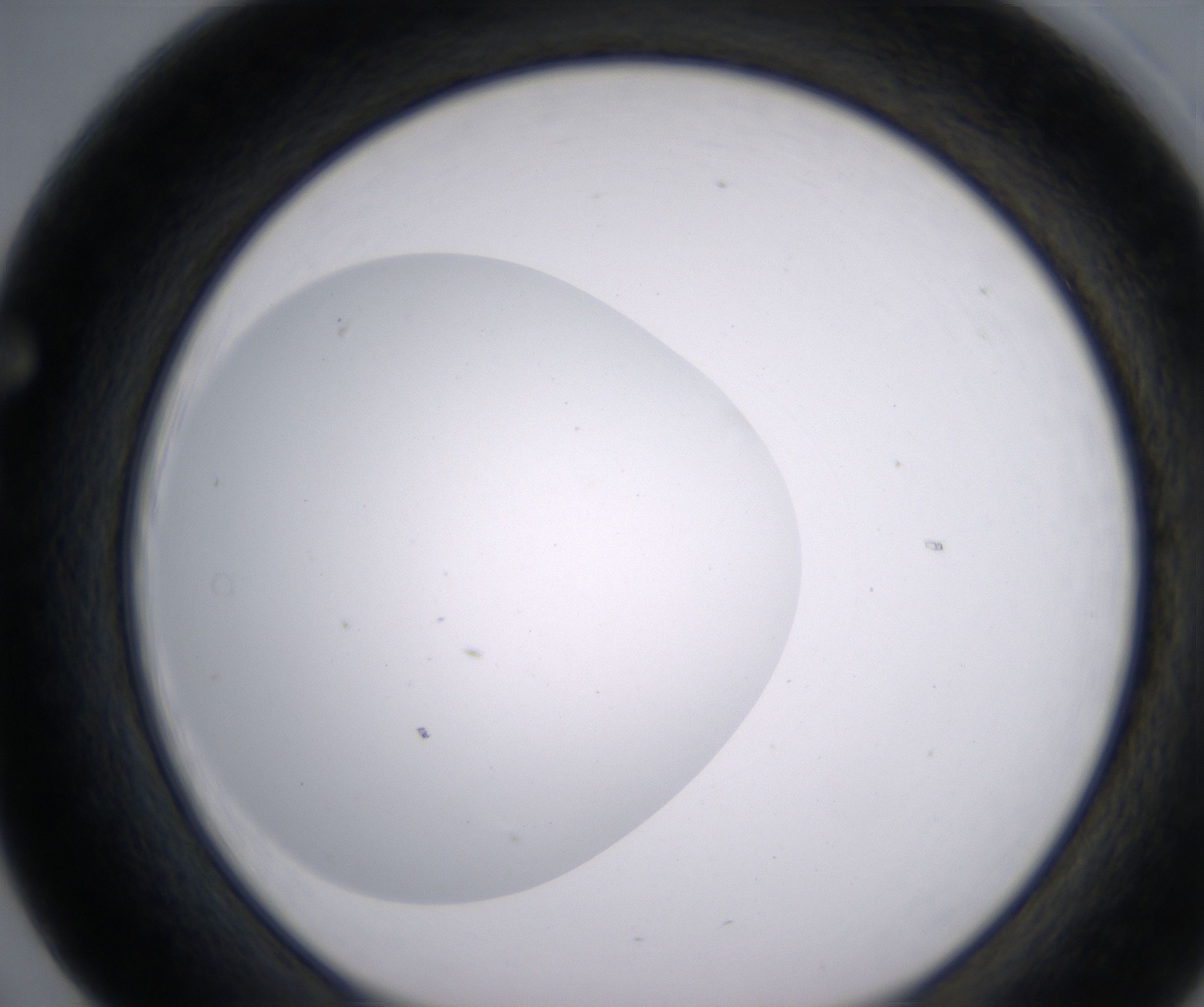 F5_HighResolution_Clear_1.jpg